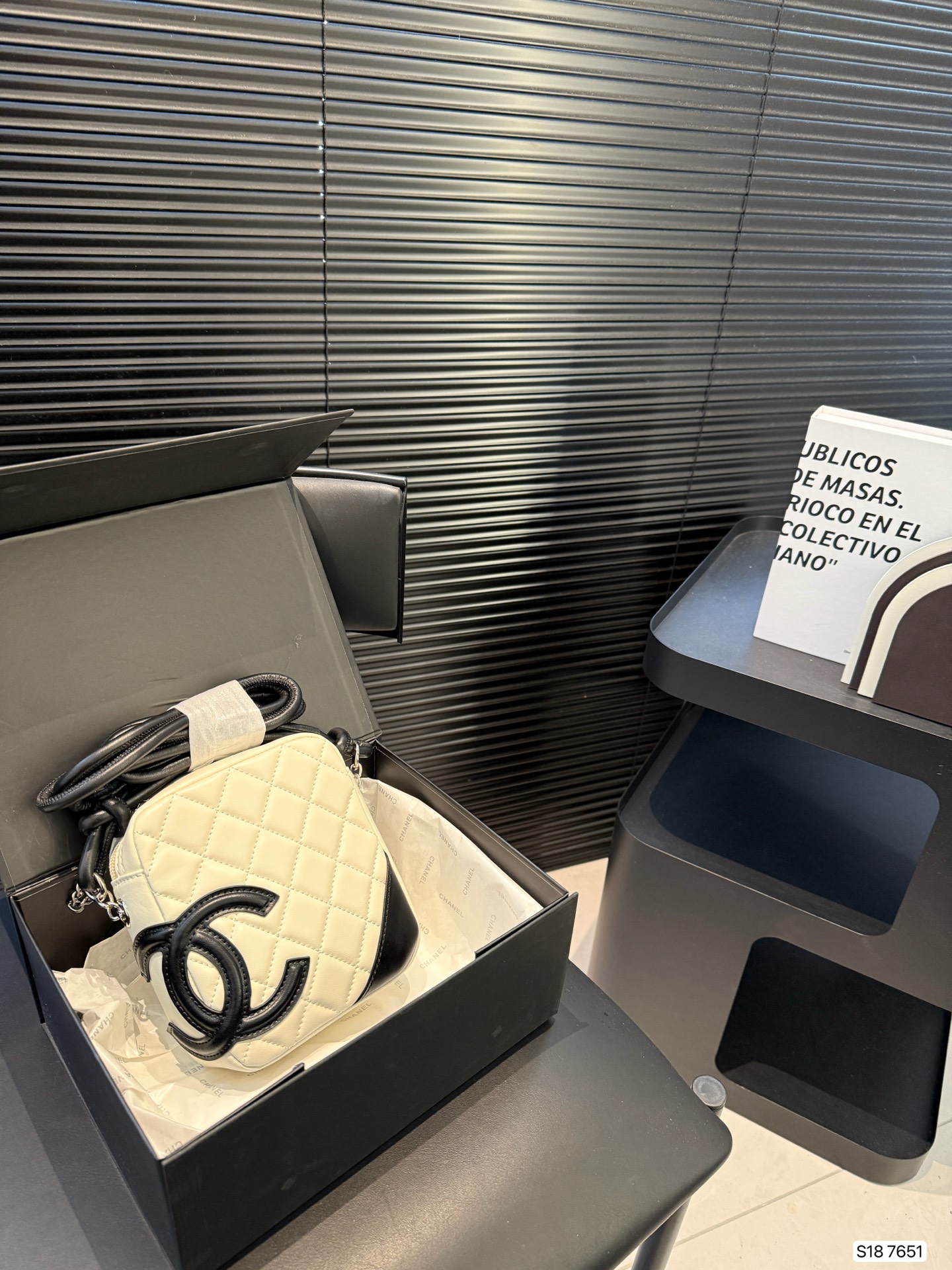 Chanel camera bag is low-key and stylish