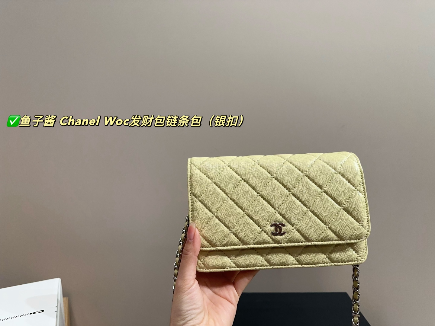 Chanel Woc fortune bag chain bag
