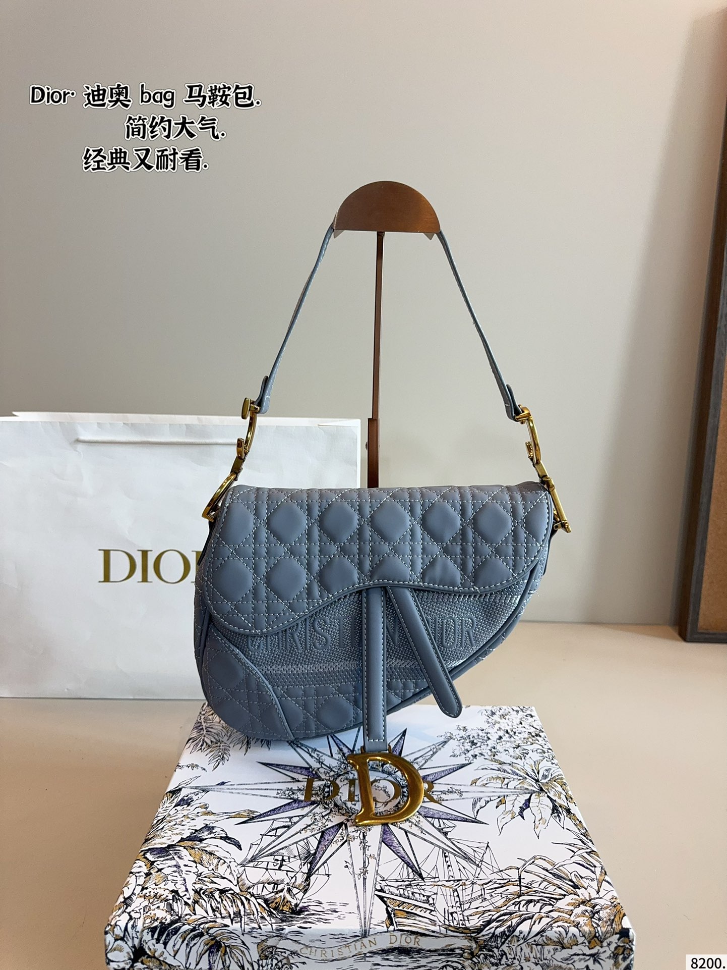 Dior new saddle bag Roman style shoulder strap