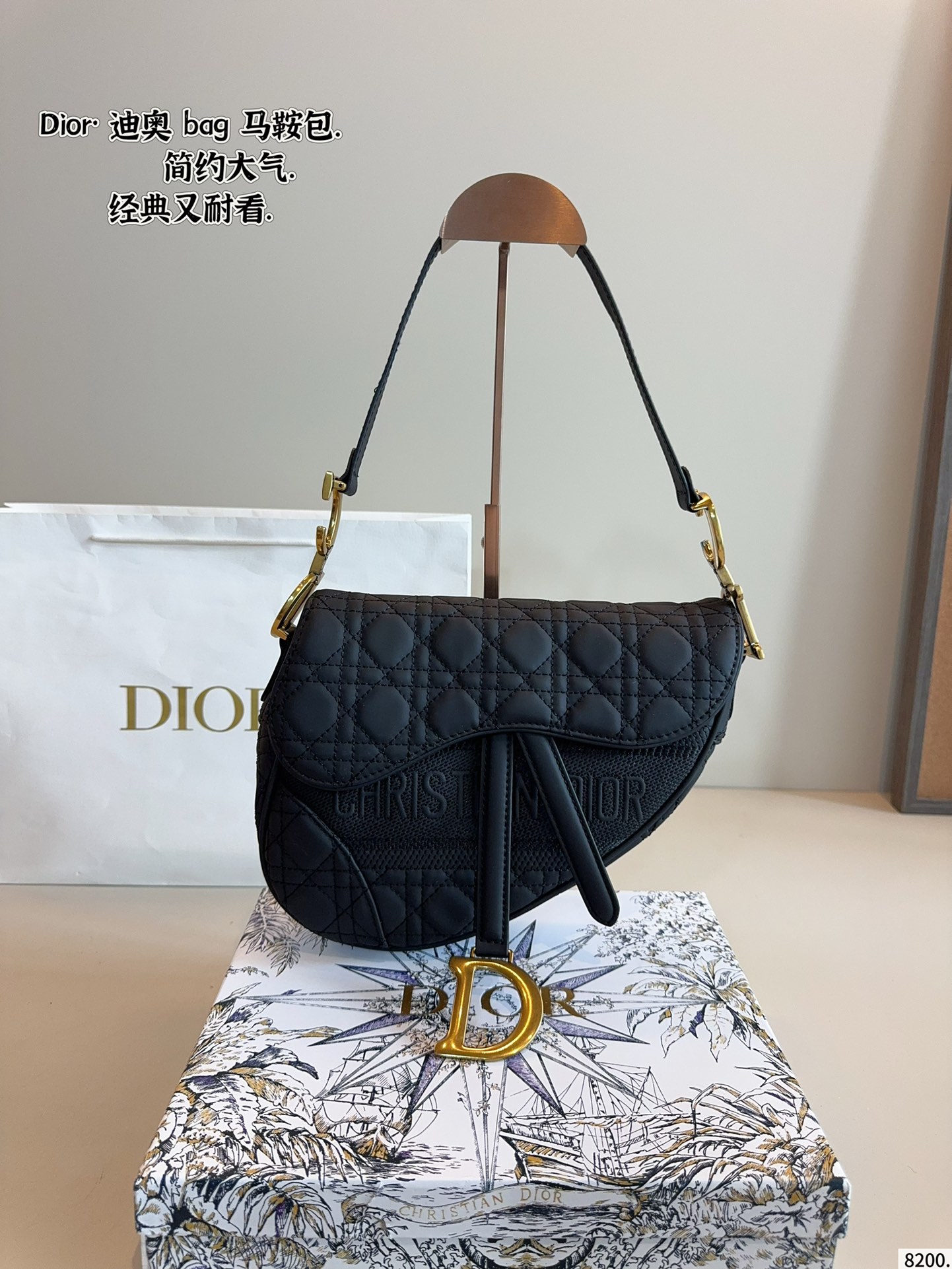 Dior new saddle bag Roman style shoulder strap
