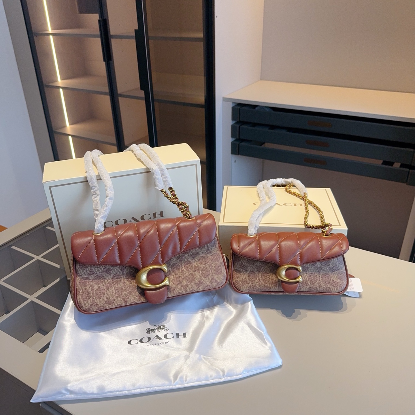 Coach's new color-blocked Dionysus bag high version