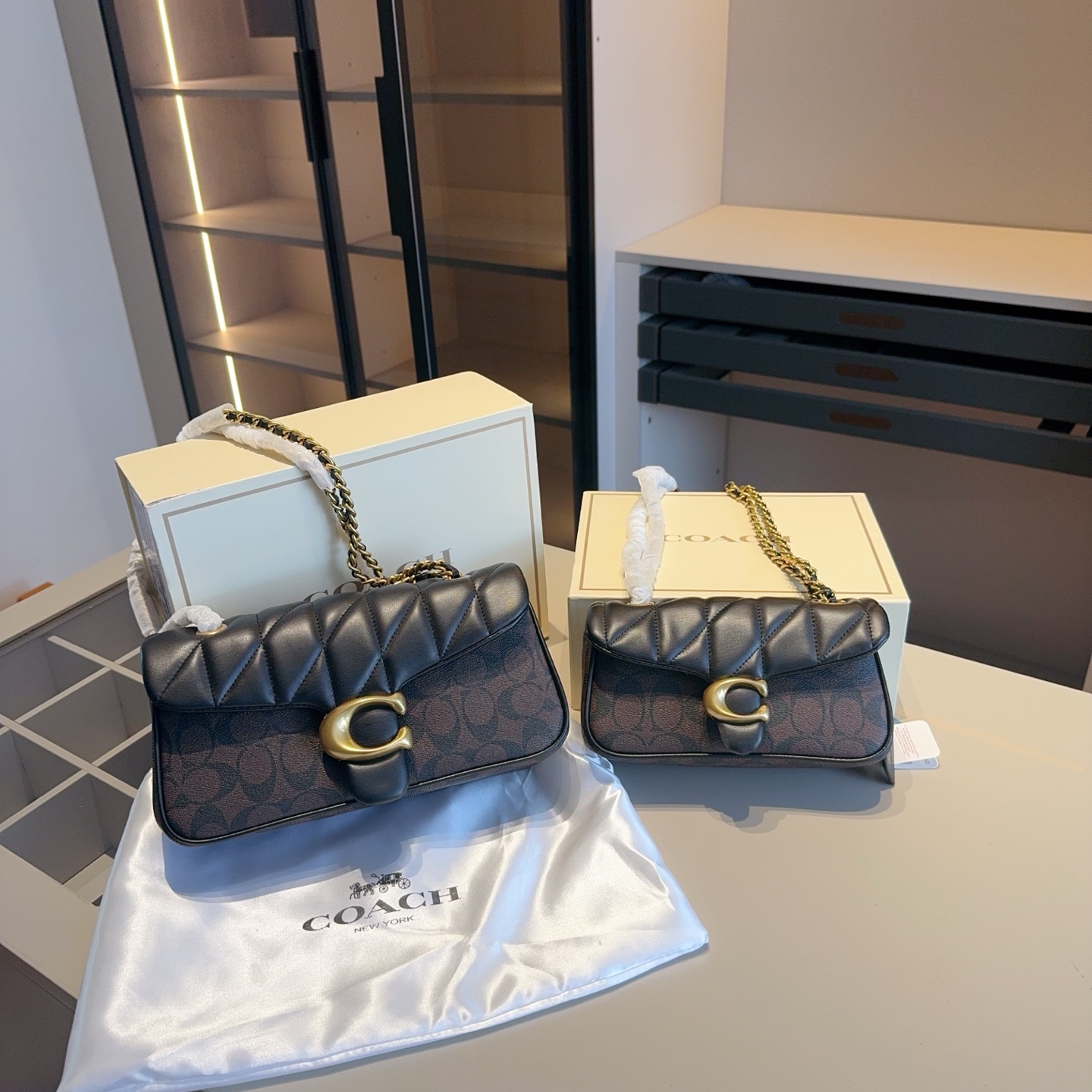 Coach's new color-blocked Dionysus bag high version