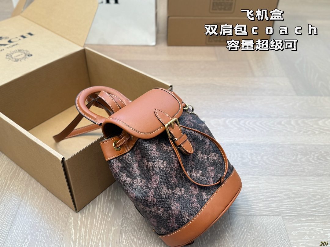 Coach backpack for everyday wear