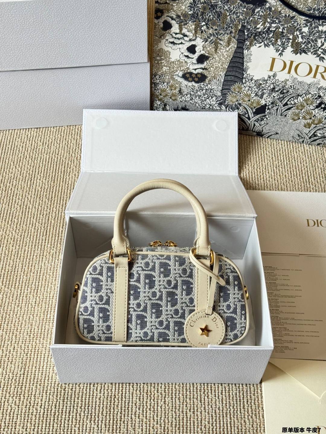 Dior Mini Handbag Shoulder Crossbody Bag