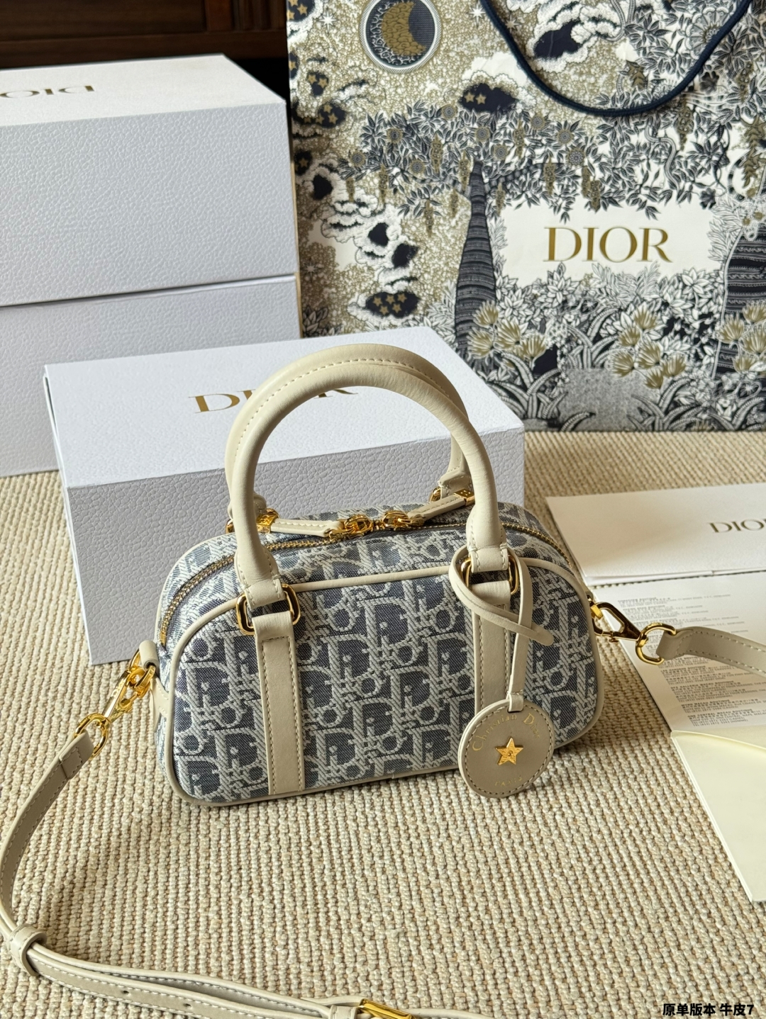 Dior Mini Handbag Shoulder Crossbody Bag
