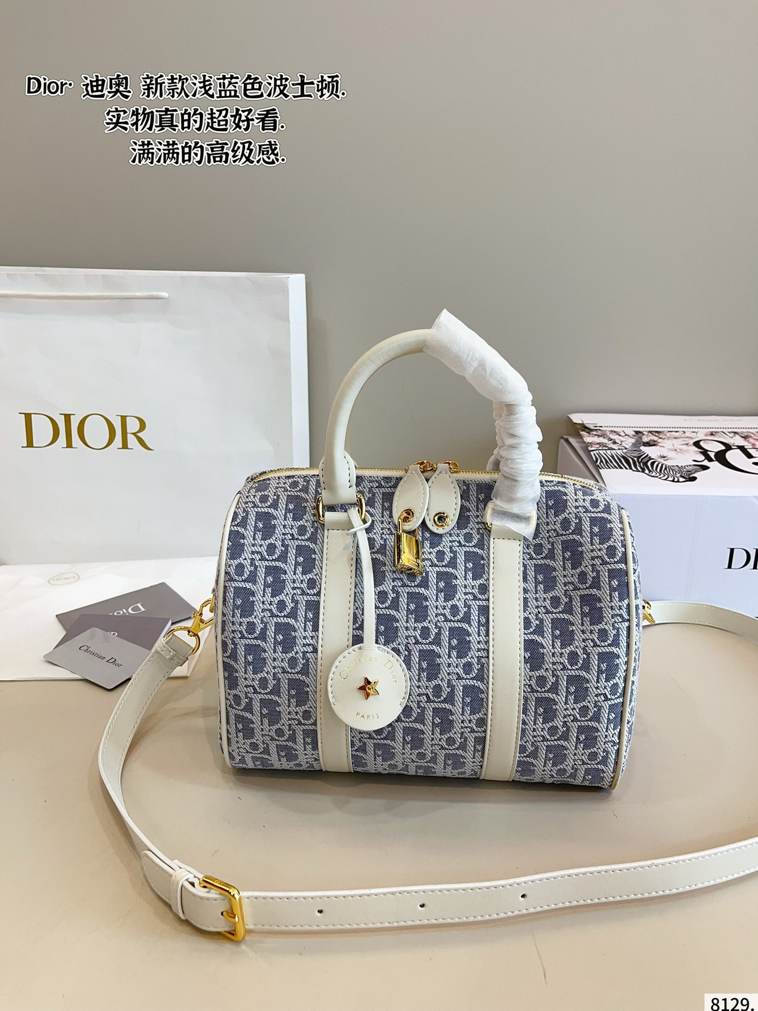 Dior Groove Boston Pillow Bag