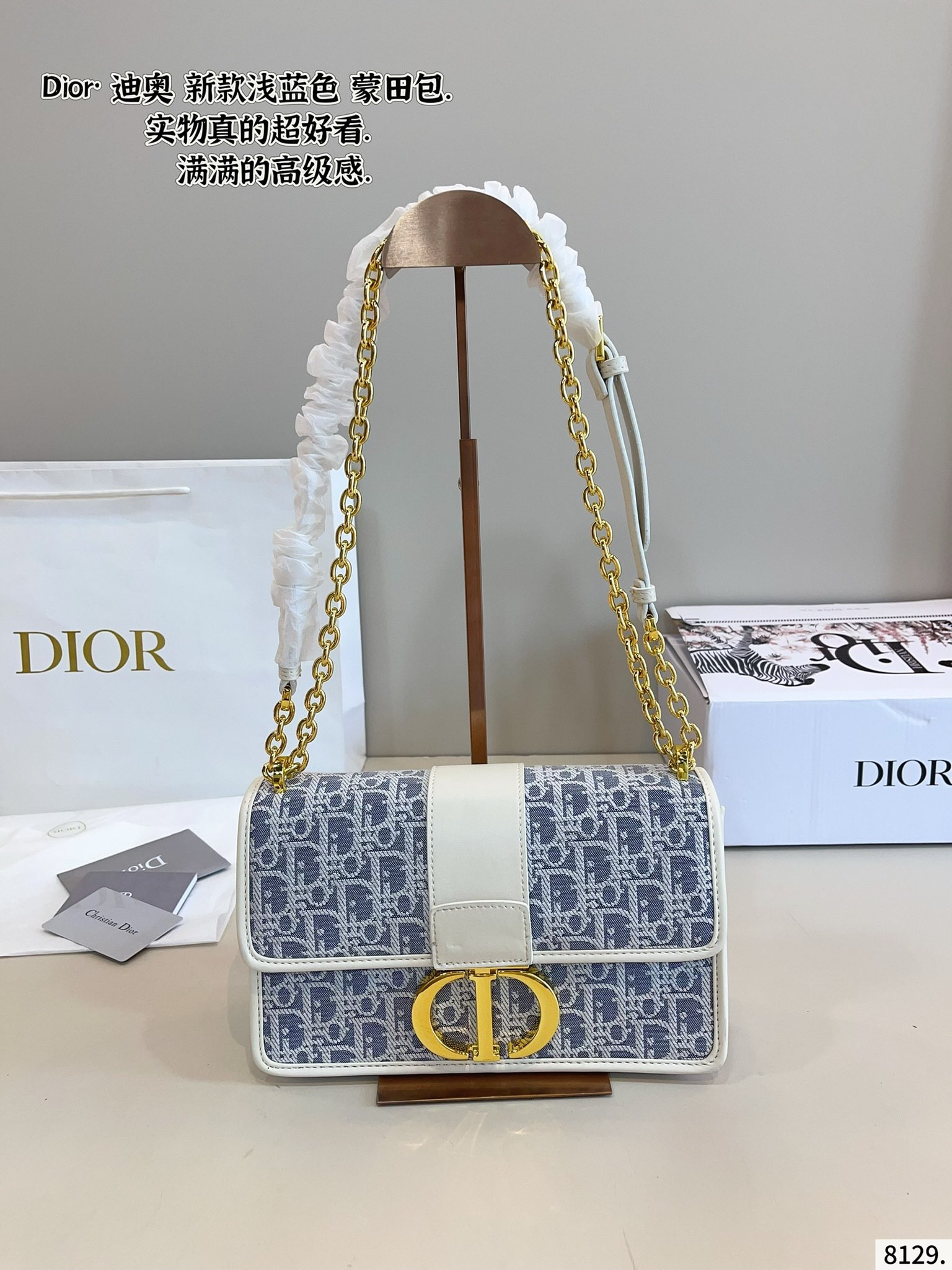 Dior classic monogram Montaigne bag