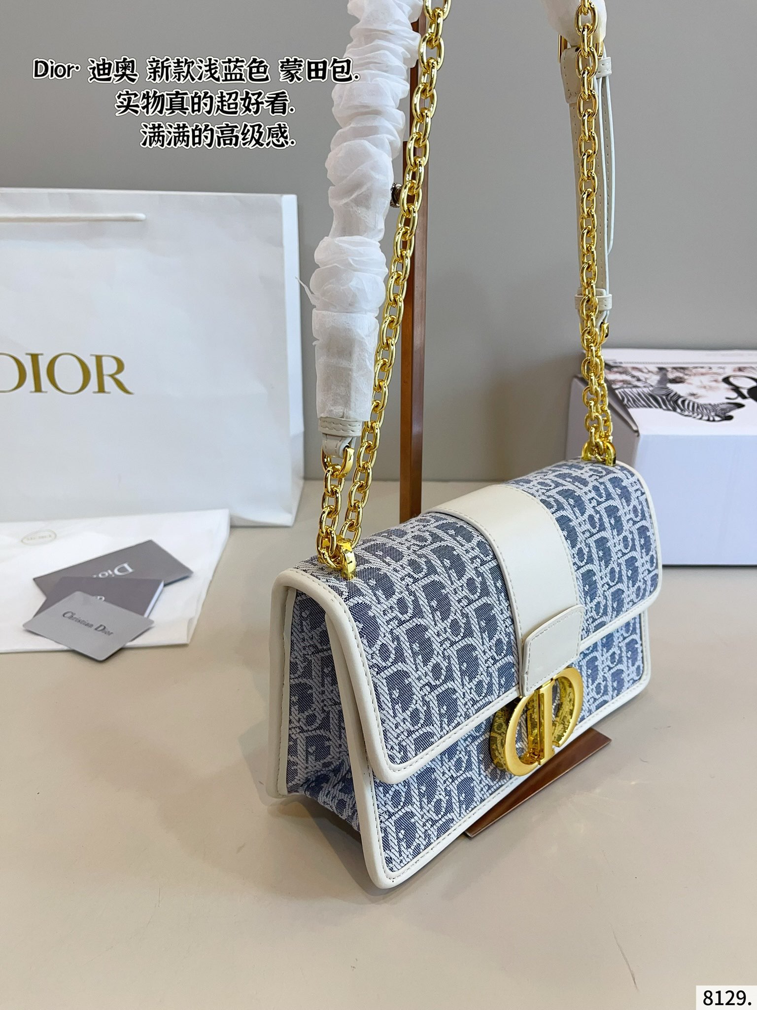 Dior classic monogram Montaigne bag