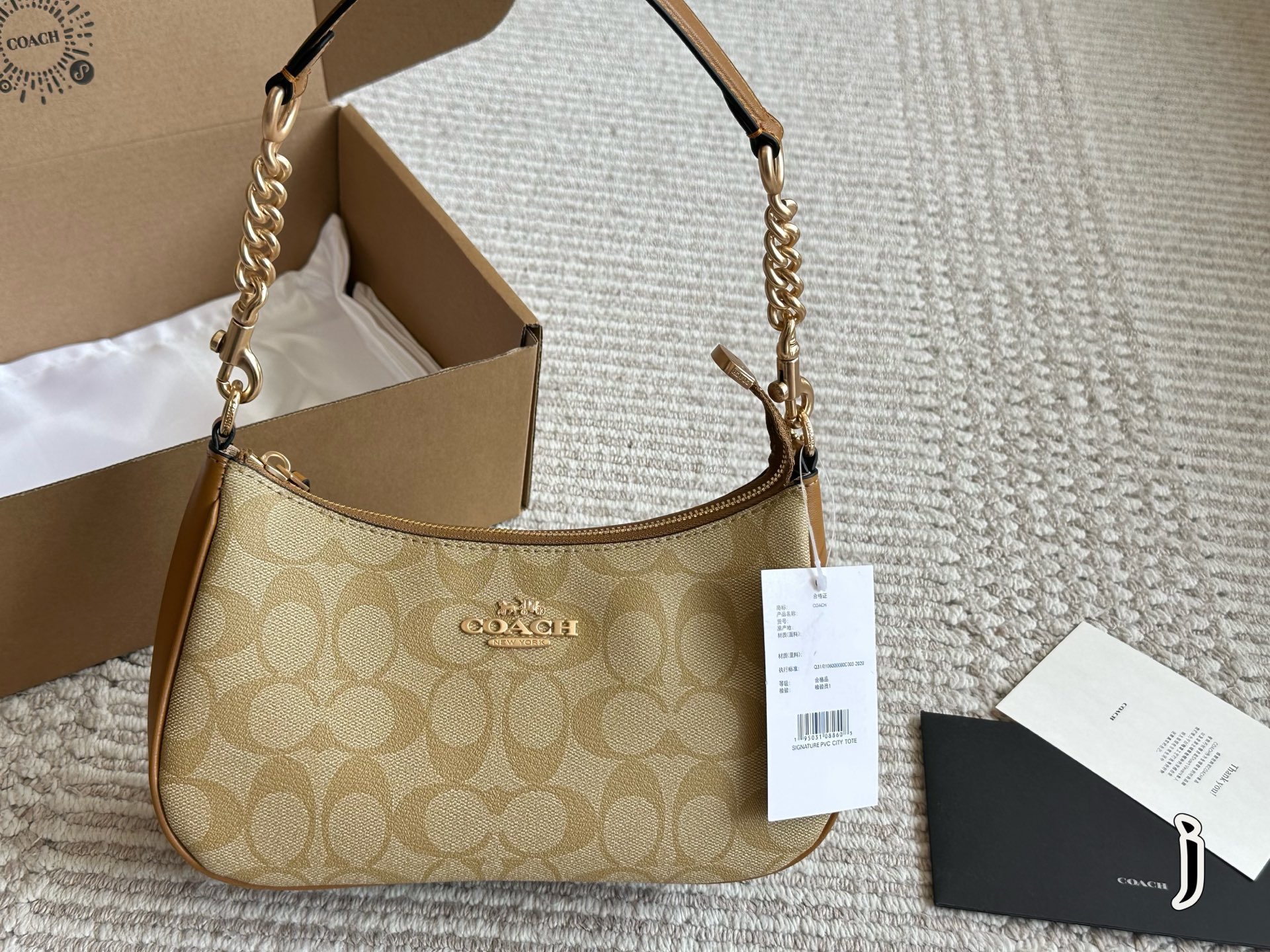 Coach Teri Underarm Bag