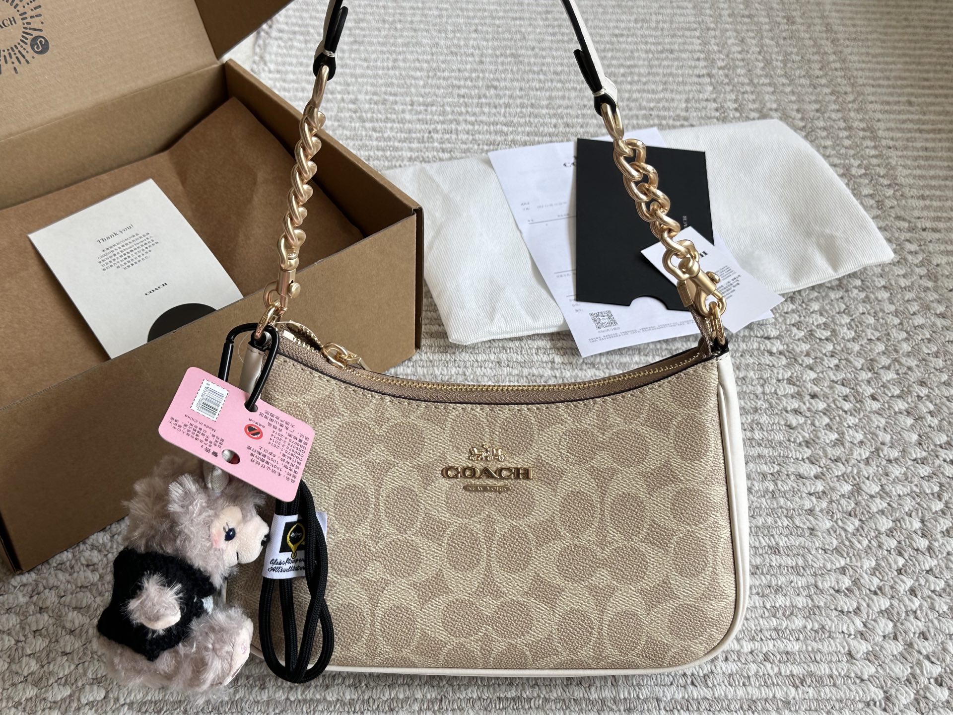 Coach Teri Underarm Bag