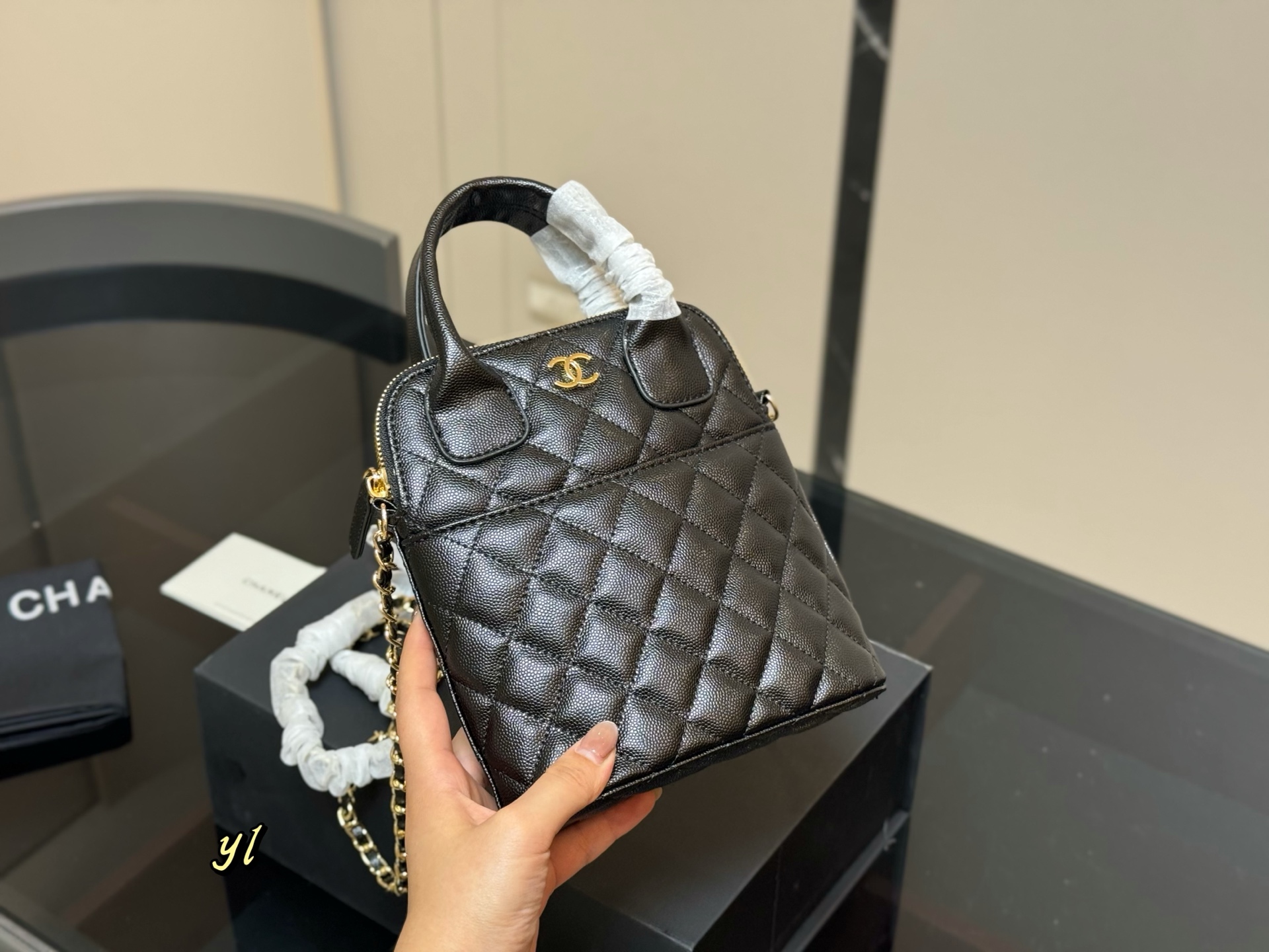Chanel stylish and simple shell bag