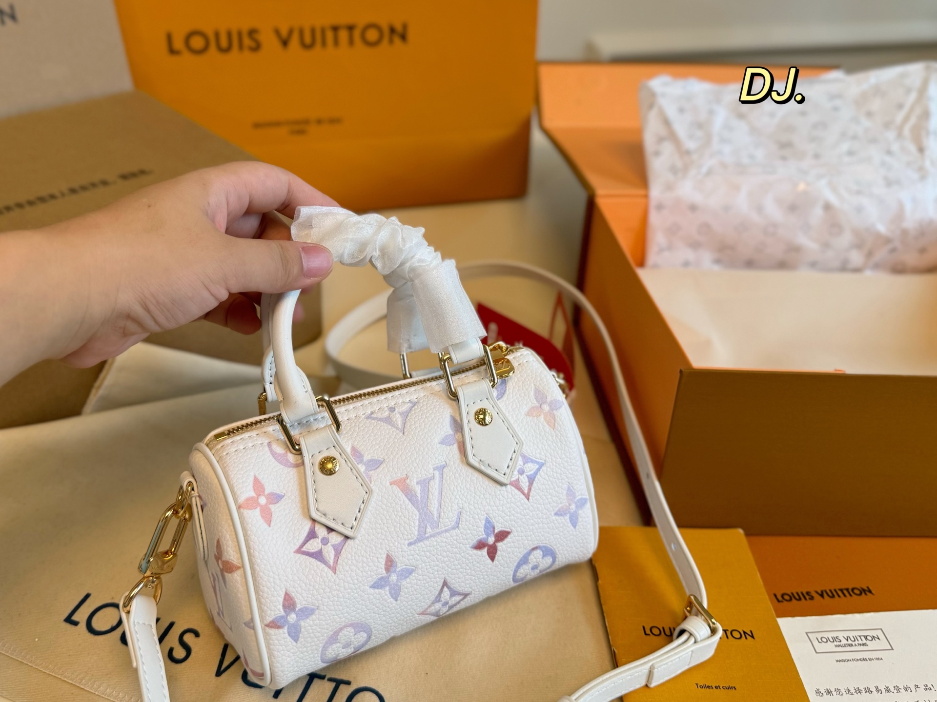 LV Speedy nano mini pillow bag