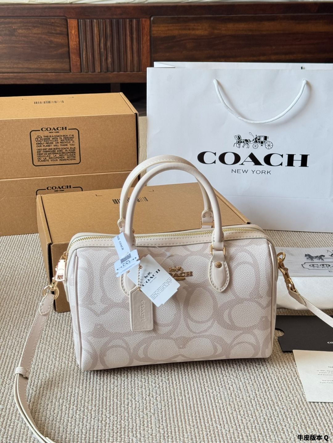 Coach Rowan new pillow bag