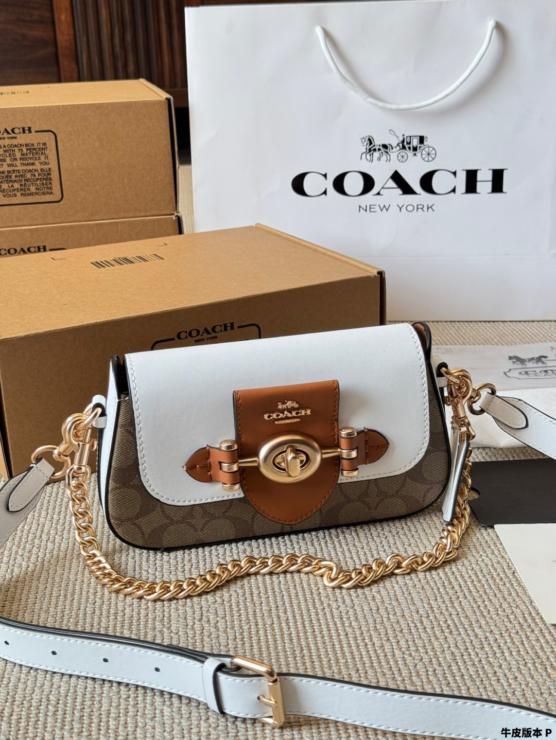 Coach's new Brie Turnlock Underarm Bag