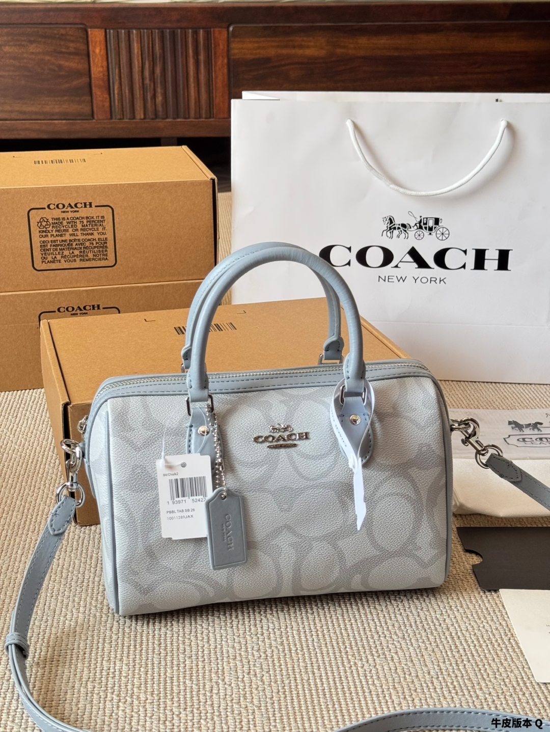 Coach Rowan new pillow bag