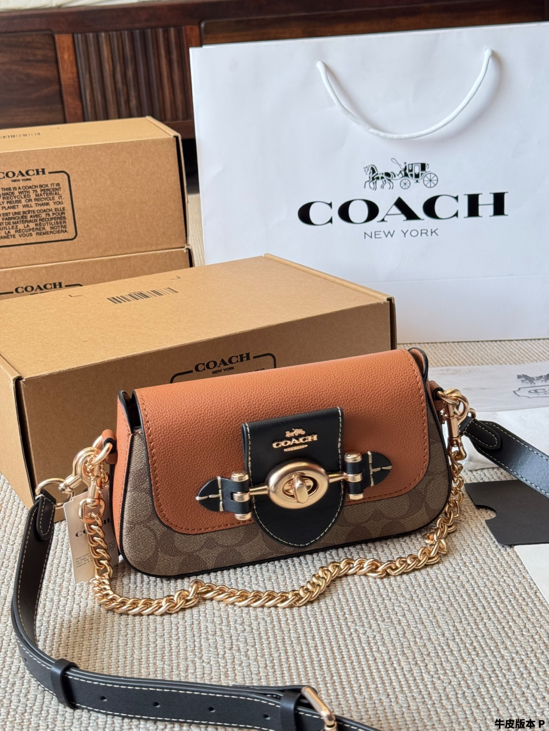 Coach's new Brie Turnlock Underarm Bag