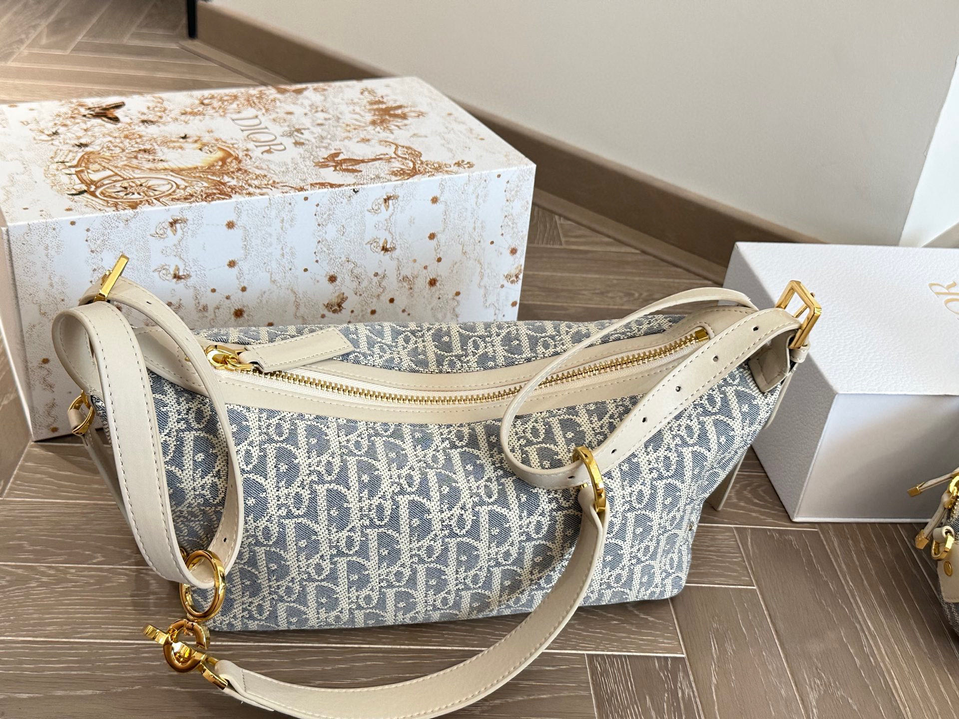 Dior Monogram Lunch Bag