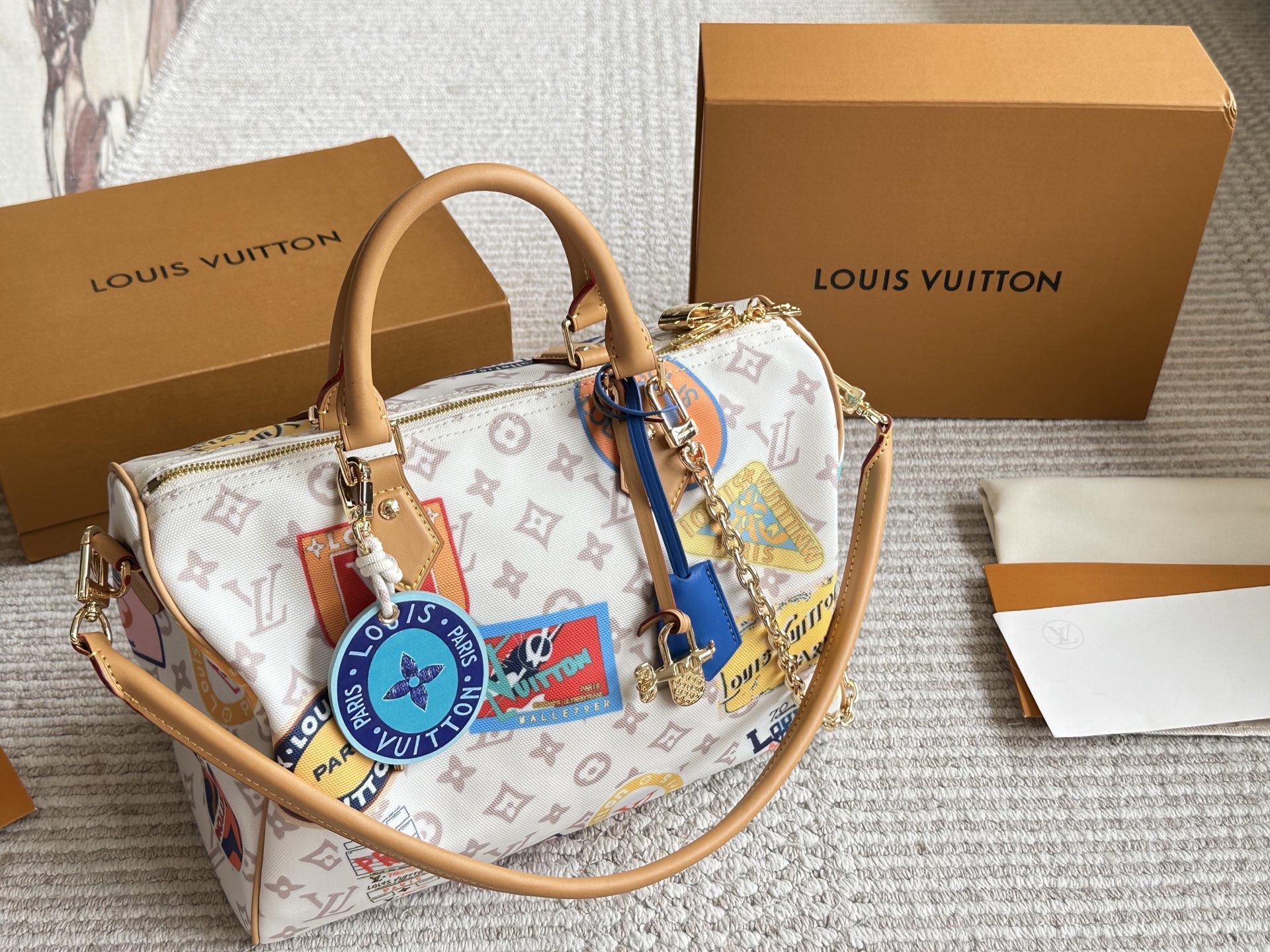 LV Speedy30 Pillow Bag