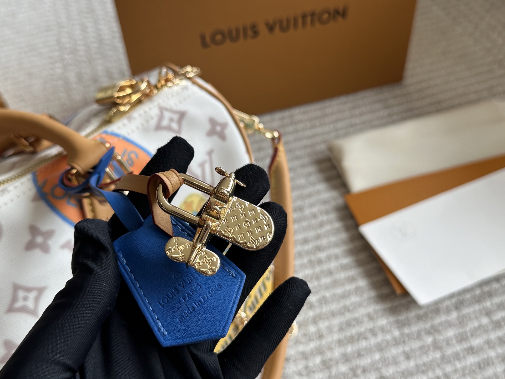 LV Speedy30 Pillow Bag