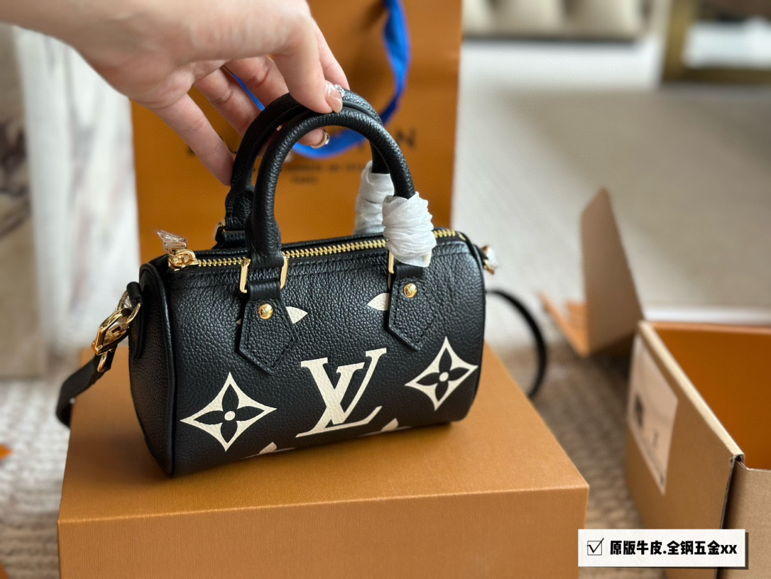 LV Mini Speedy Bag