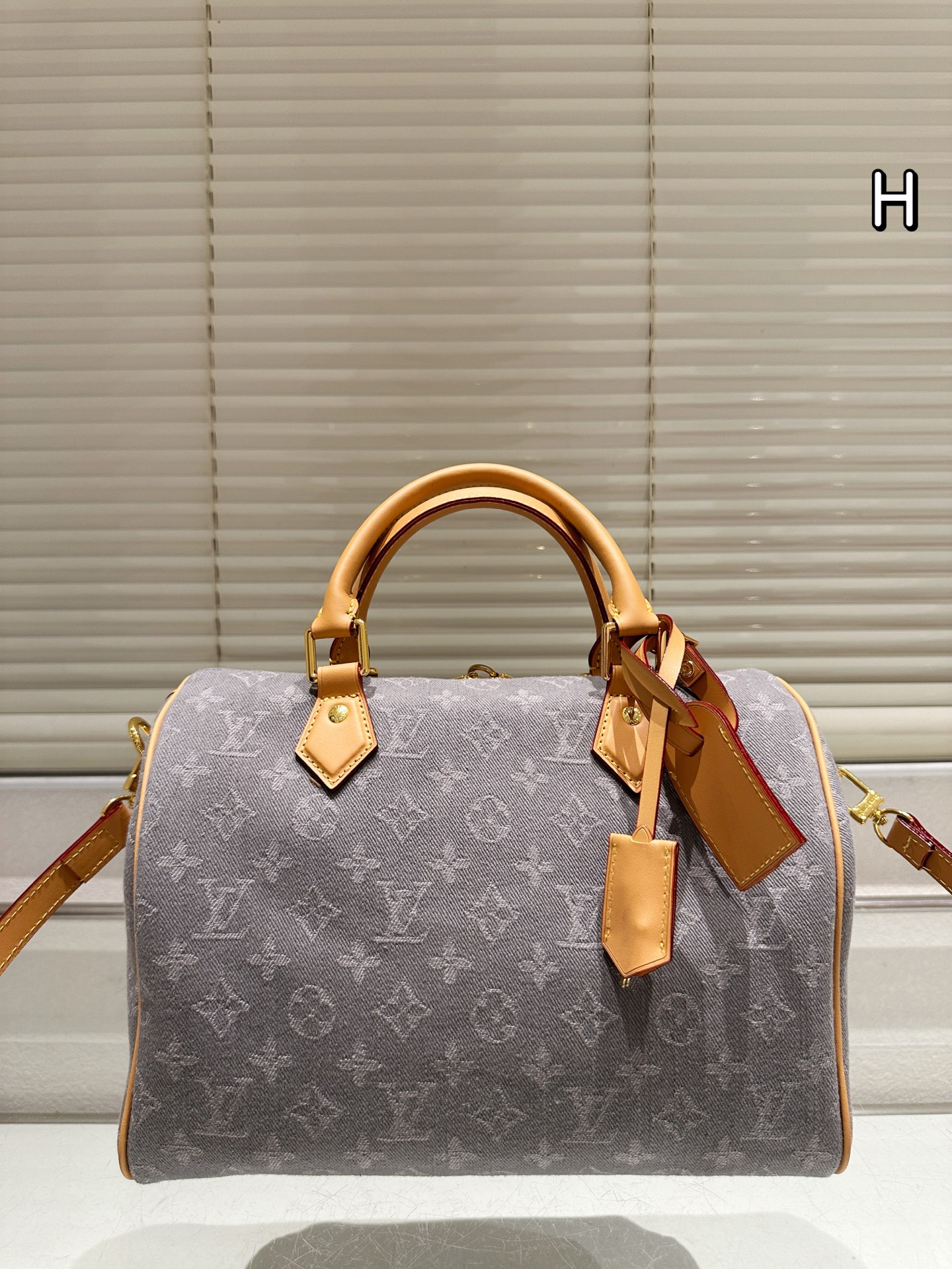 LV Speedy Pillow Bag