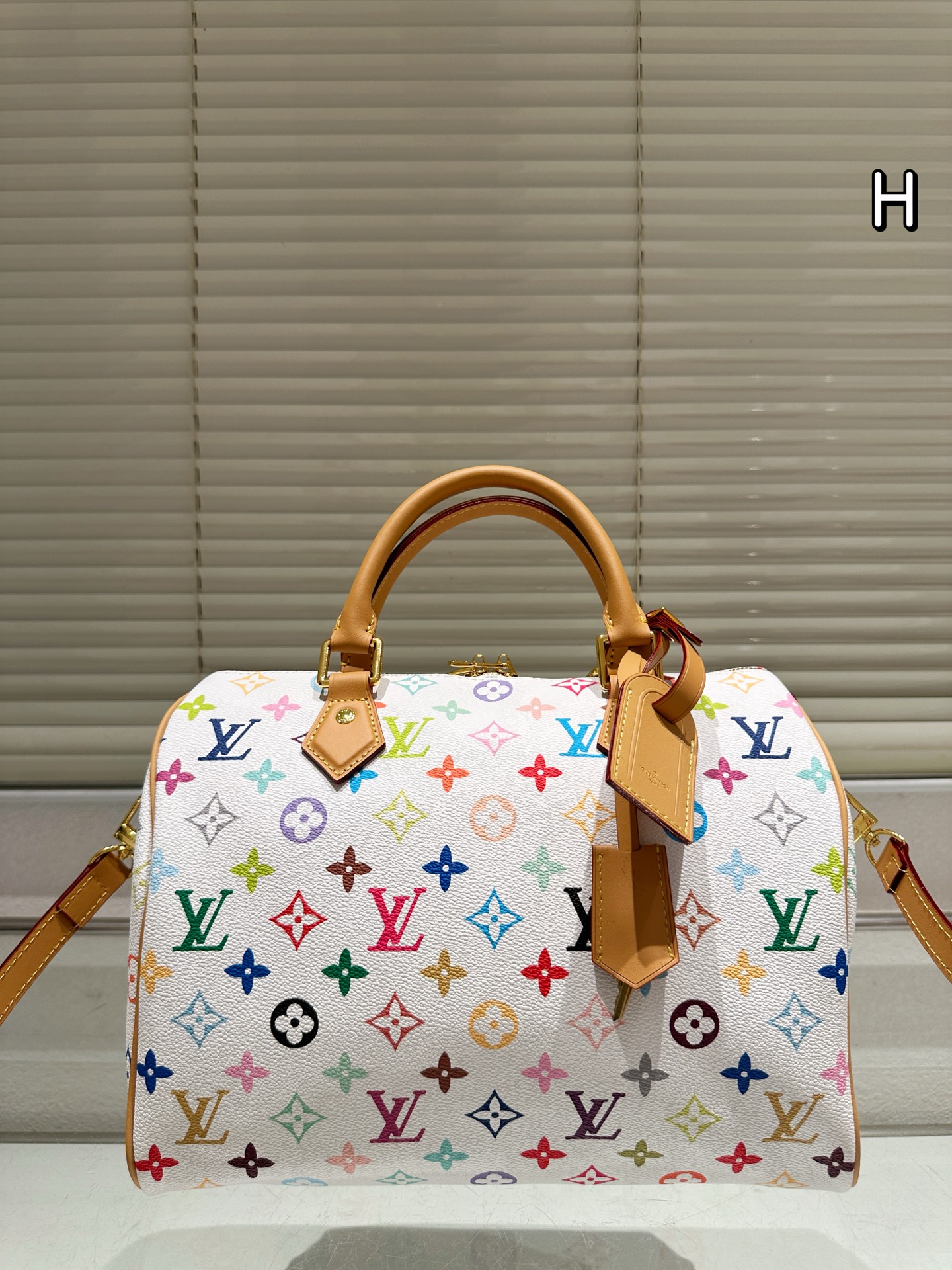 LV Speedy Pillow Bag