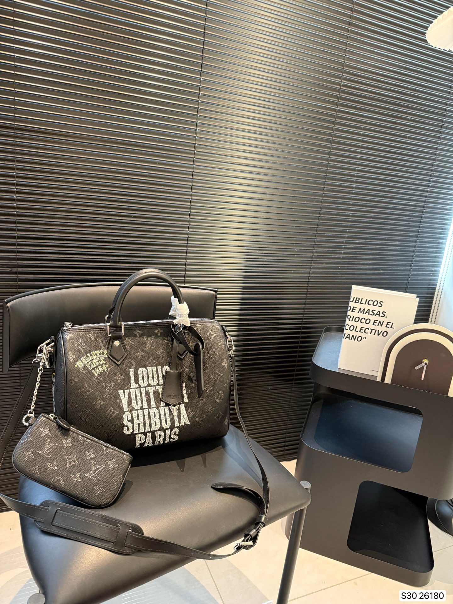 LV Speedy Collaboration Pillow Bag