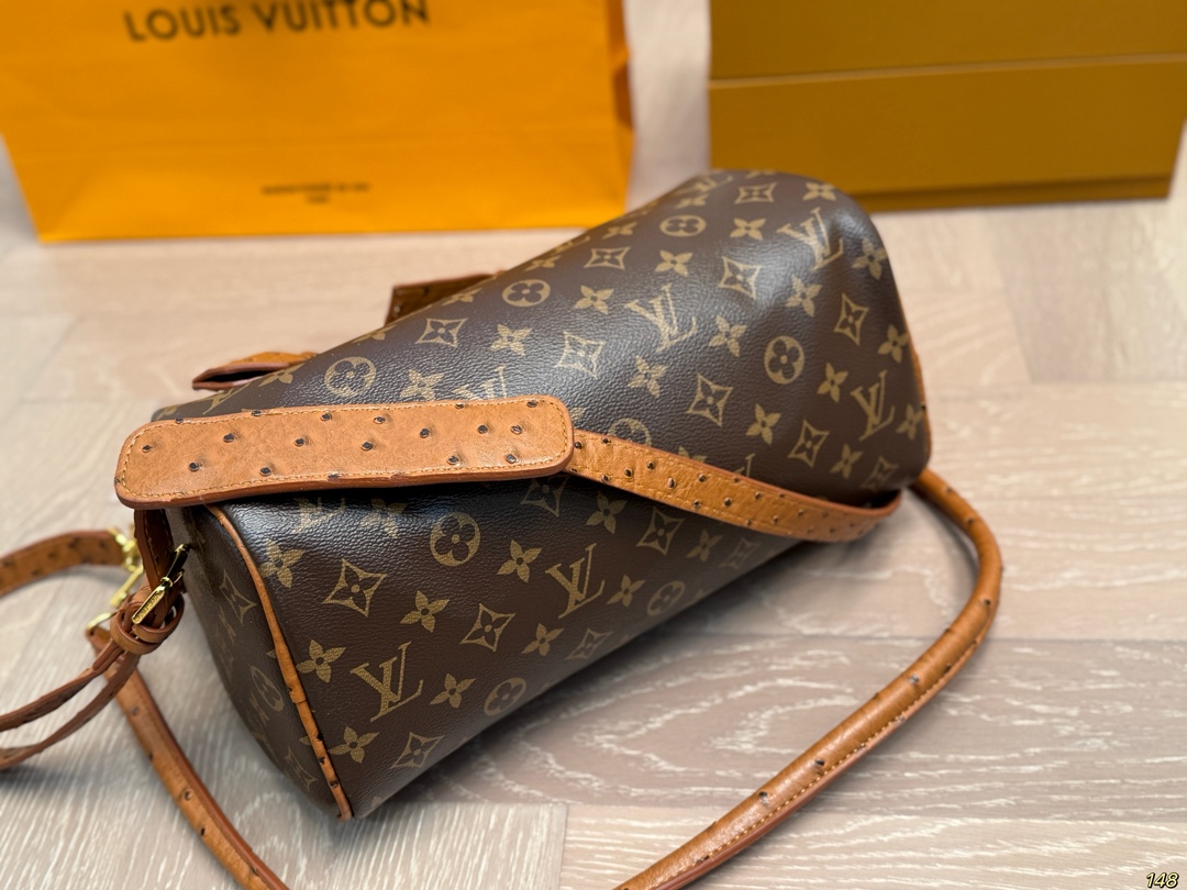LV Speedy Soft Bag