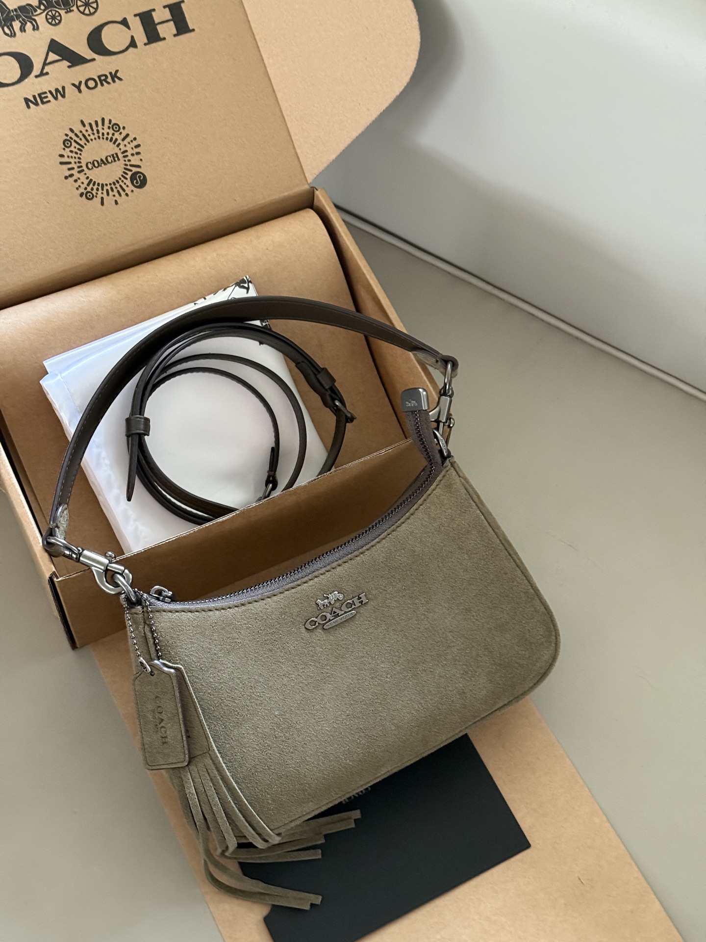 Coach Teri Underarm Bag