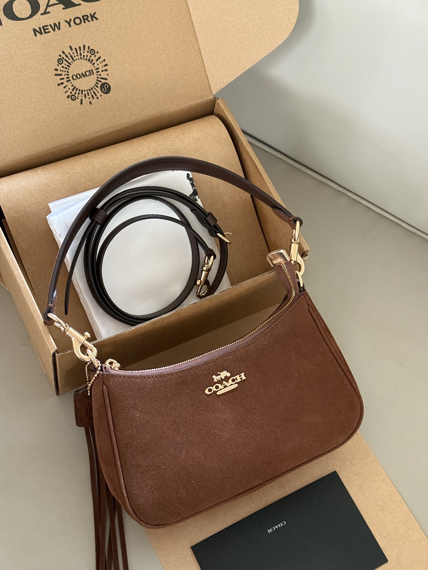 Coach Teri Underarm Bag