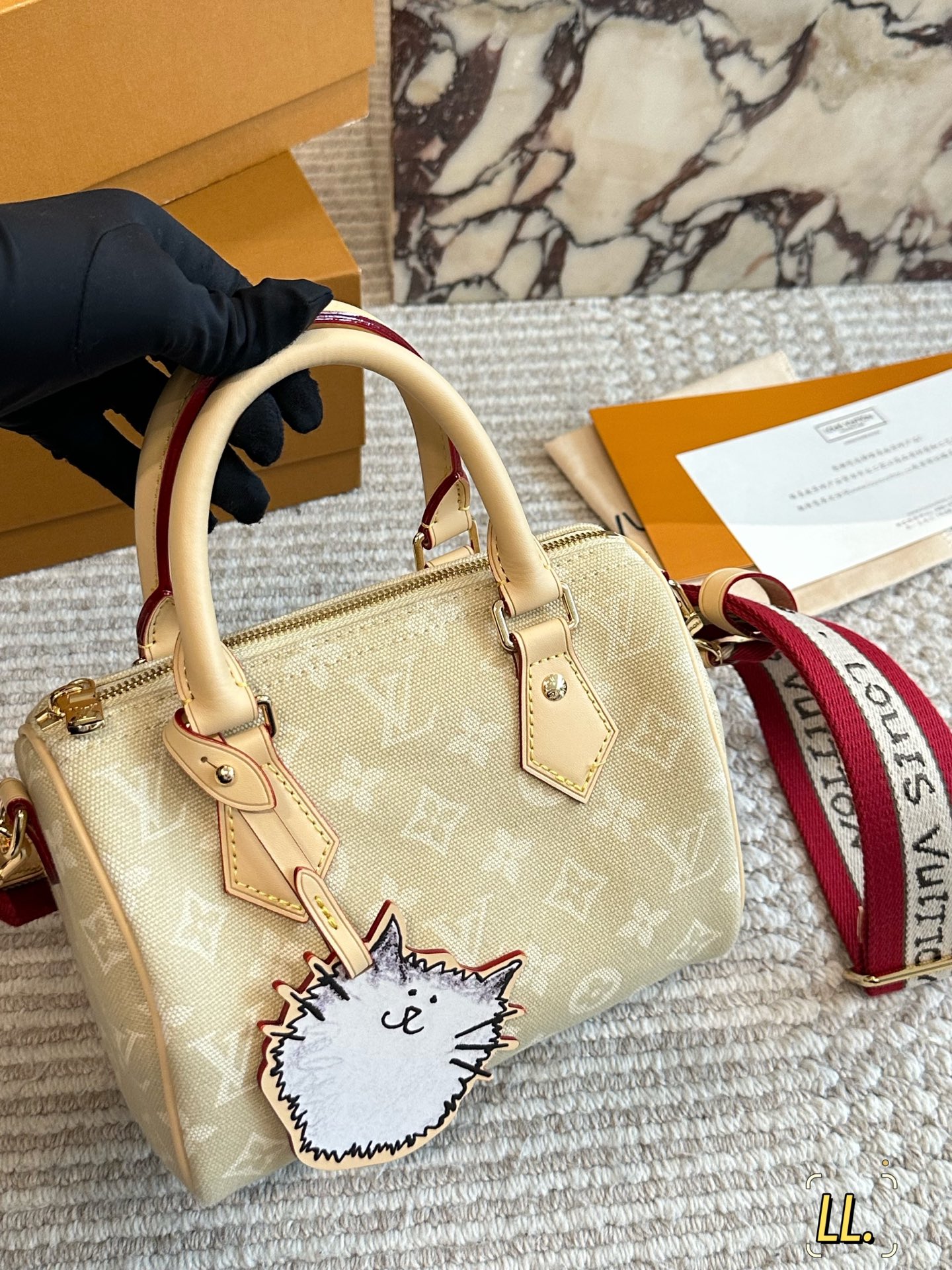 LV speedy20 pillow bag