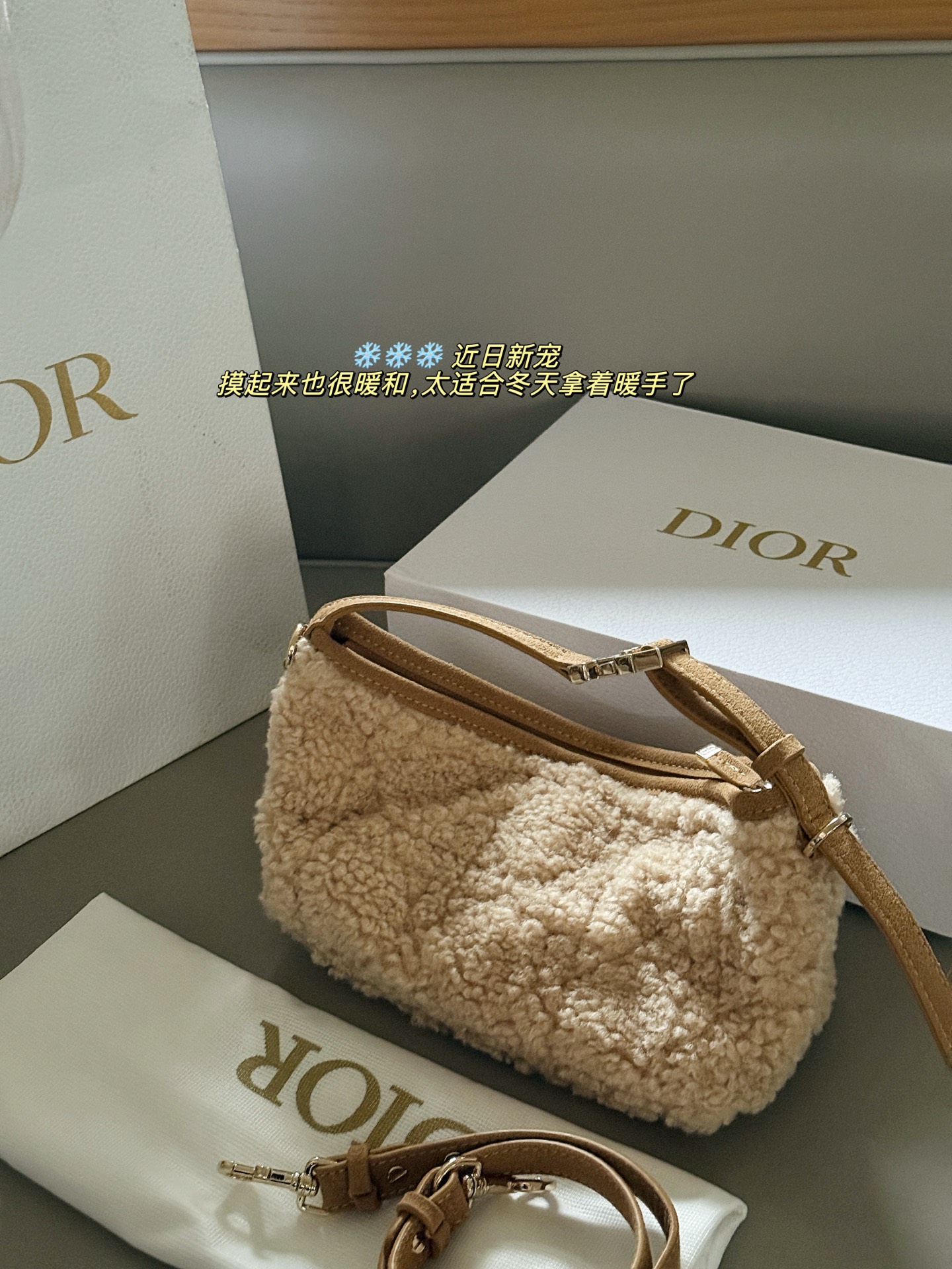 Dior Nomad lunchbox bag