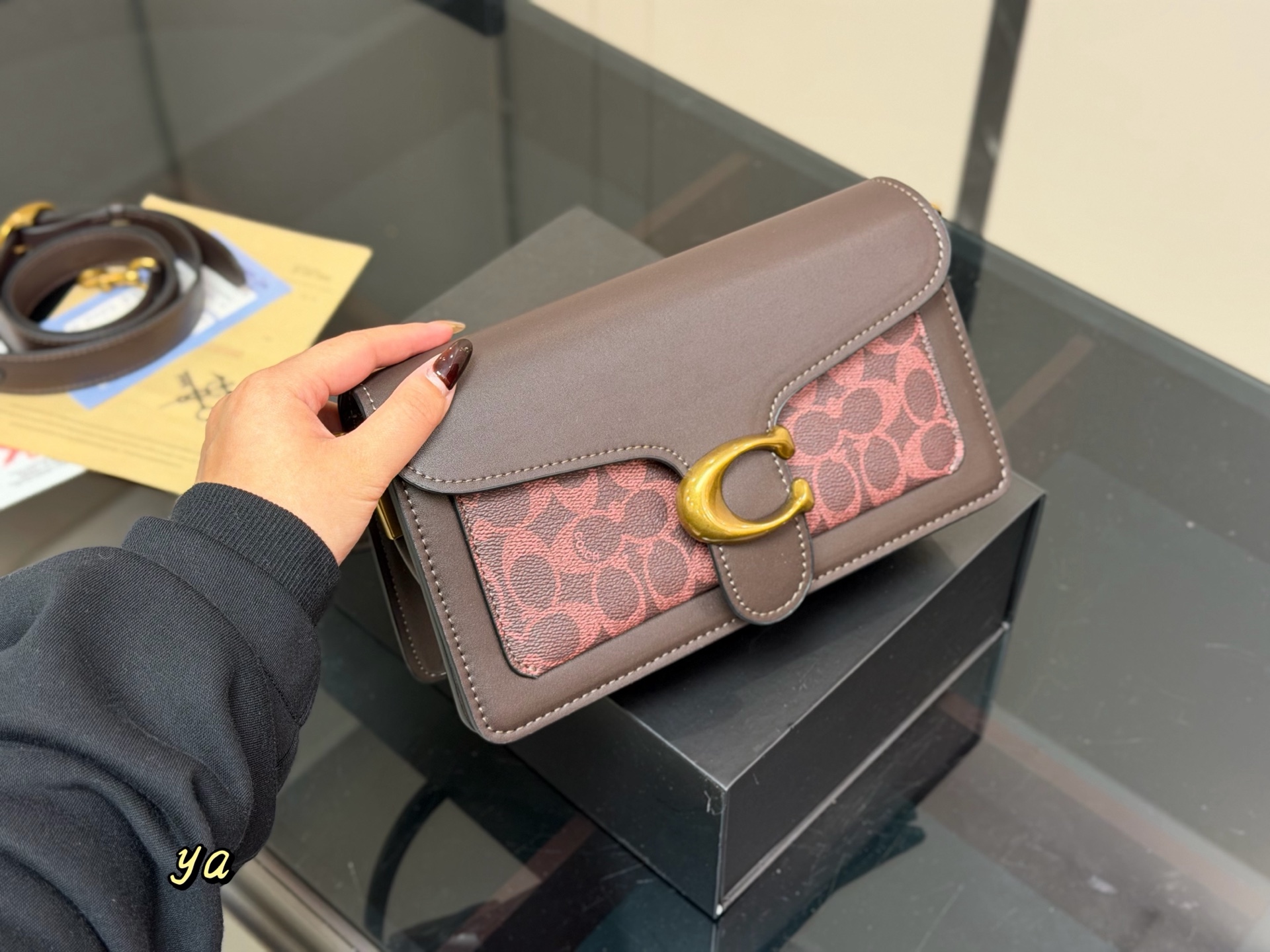 Coach Dionysus Tabby