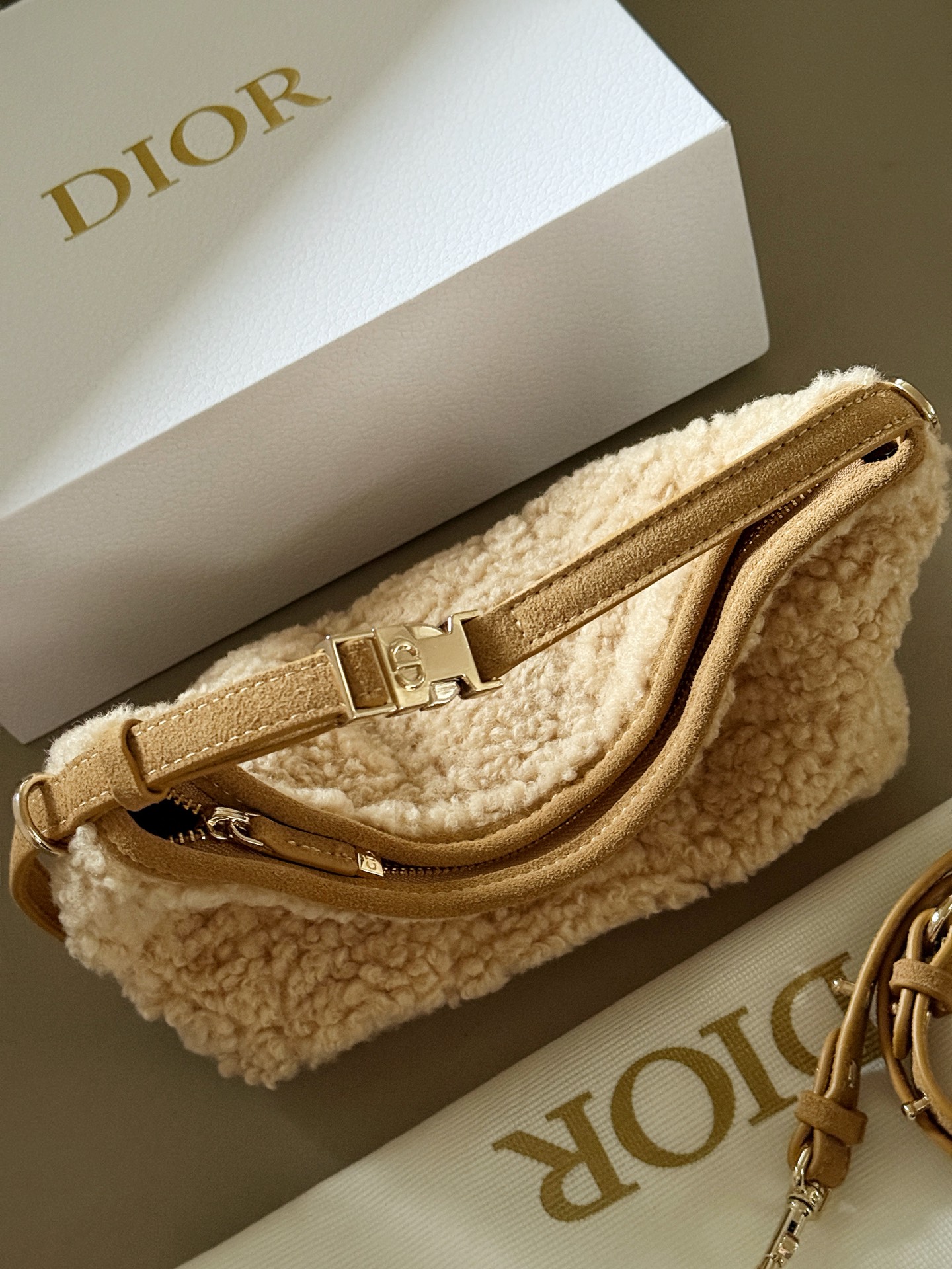 Dior Nomad lunchbox bag