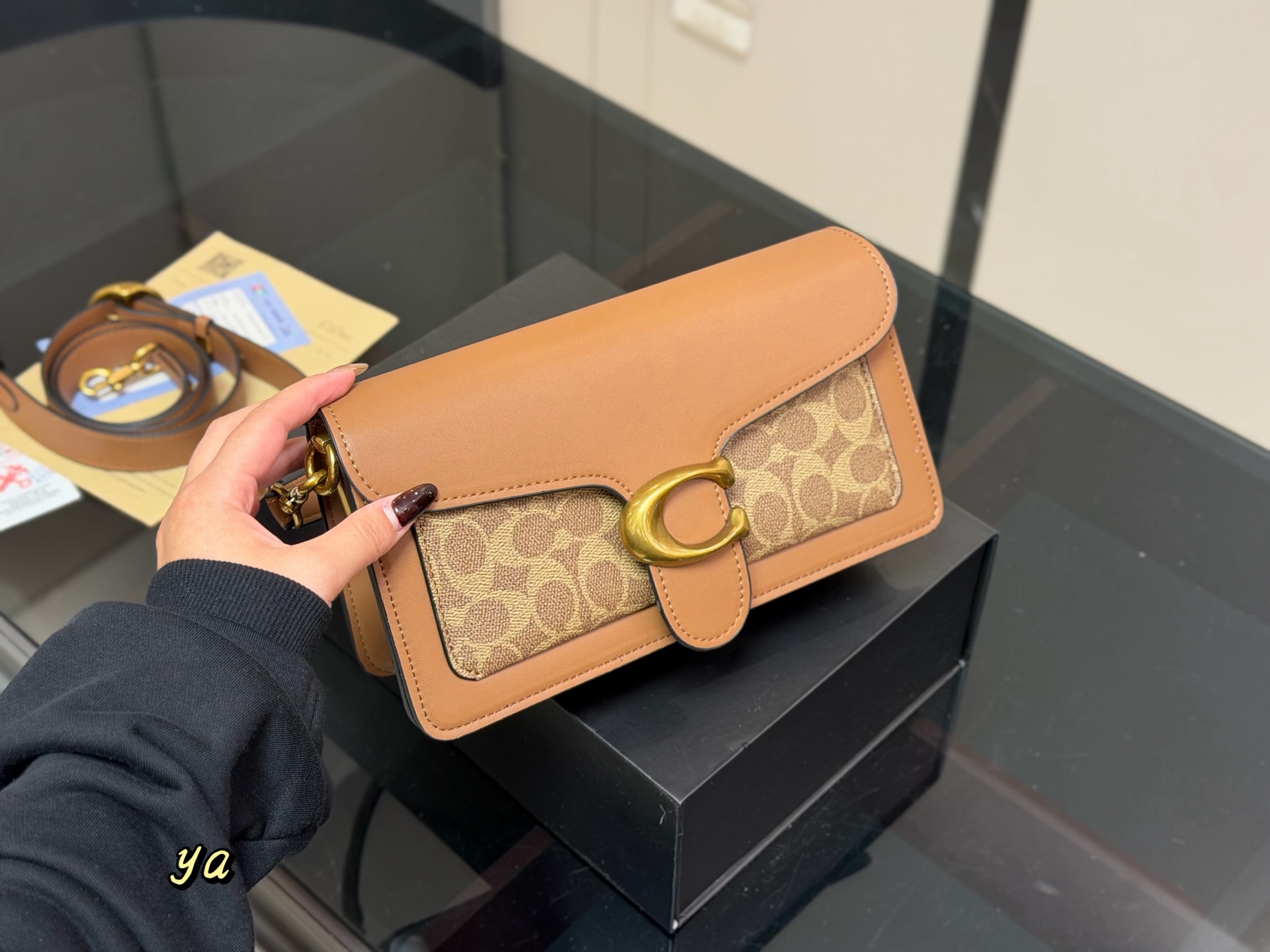 Coach Dionysus Tabby