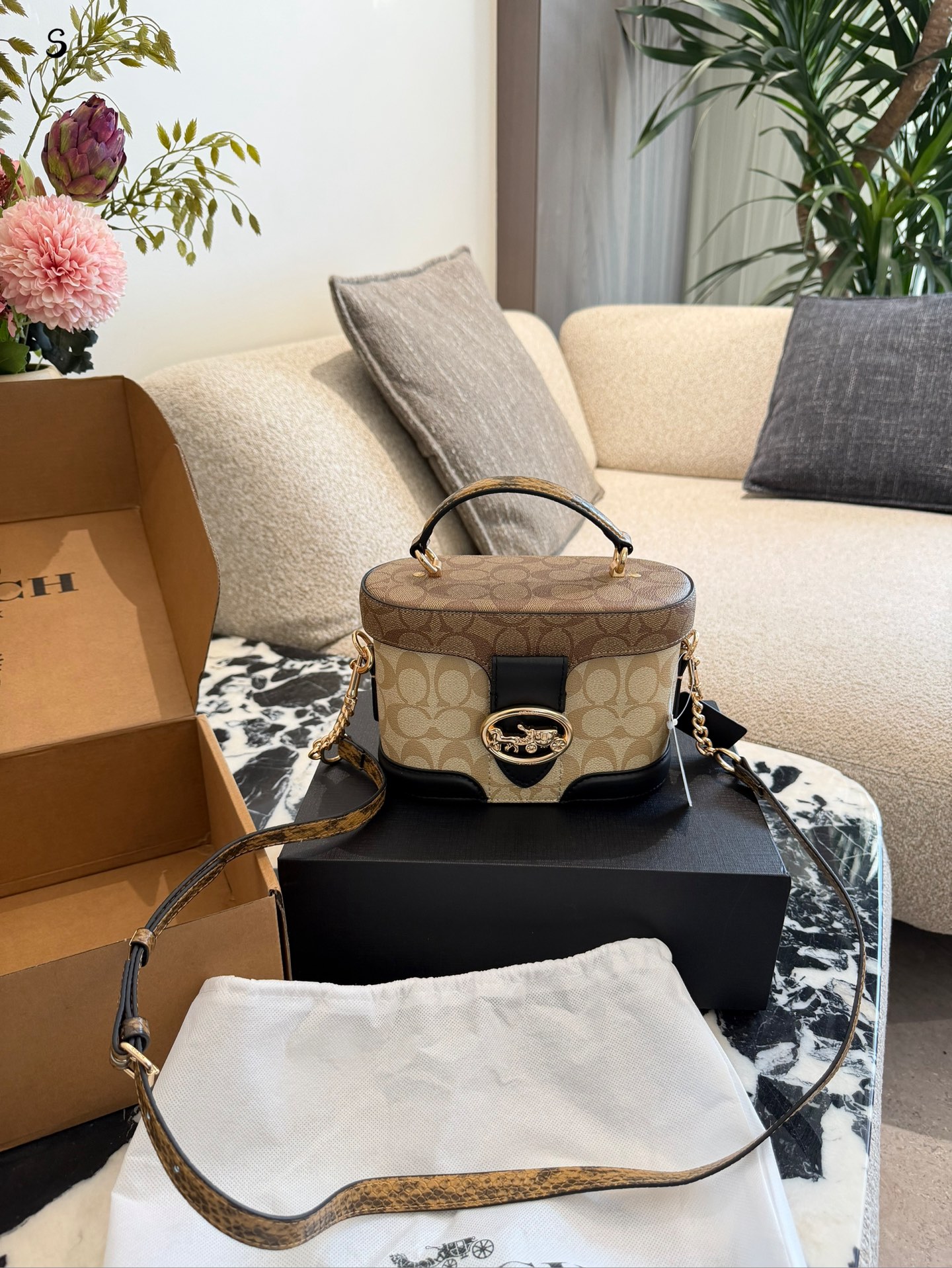 Coach monogram box bag