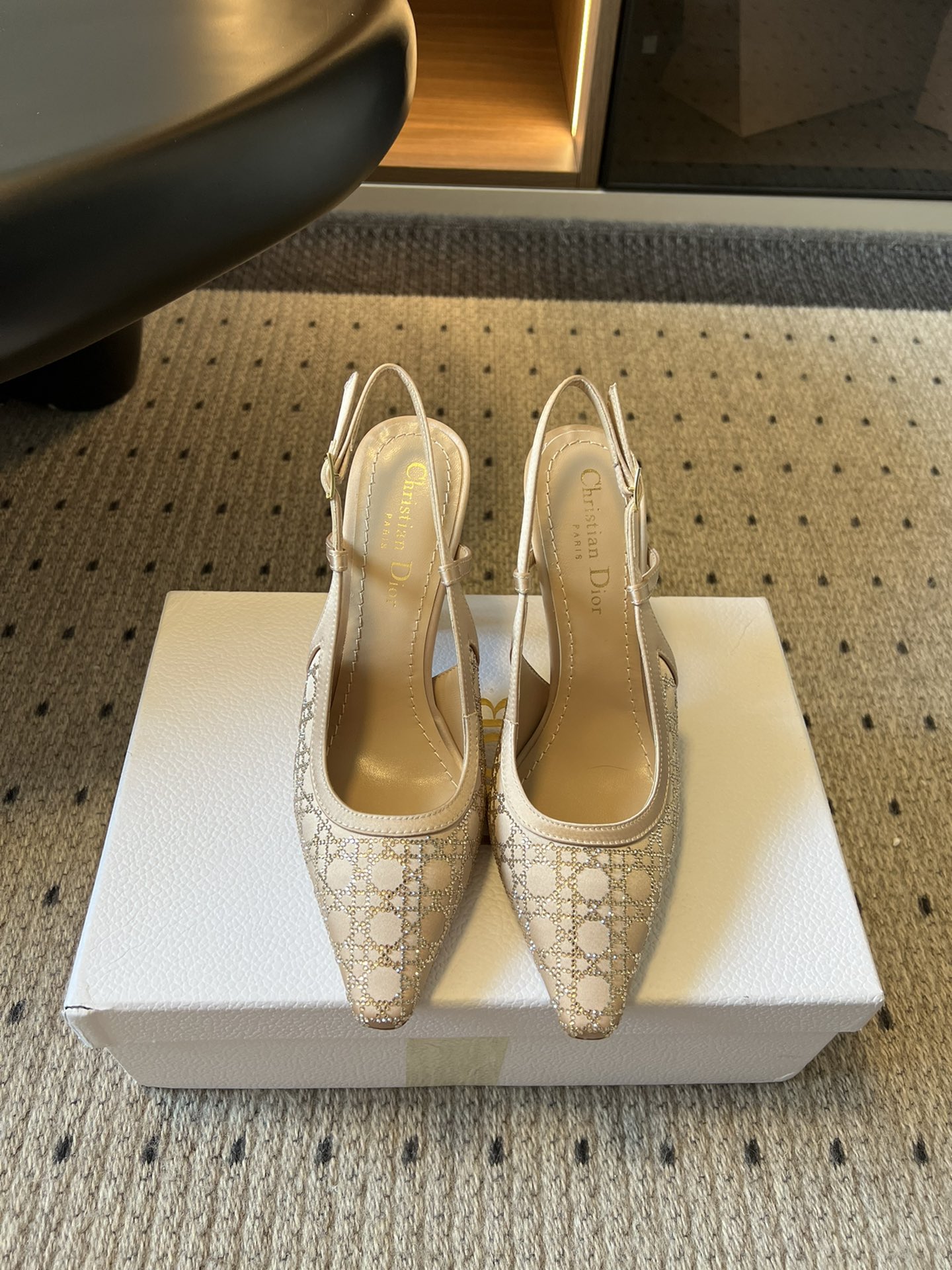 Dior Pointed-Toe High Heels - Top-Tier Version