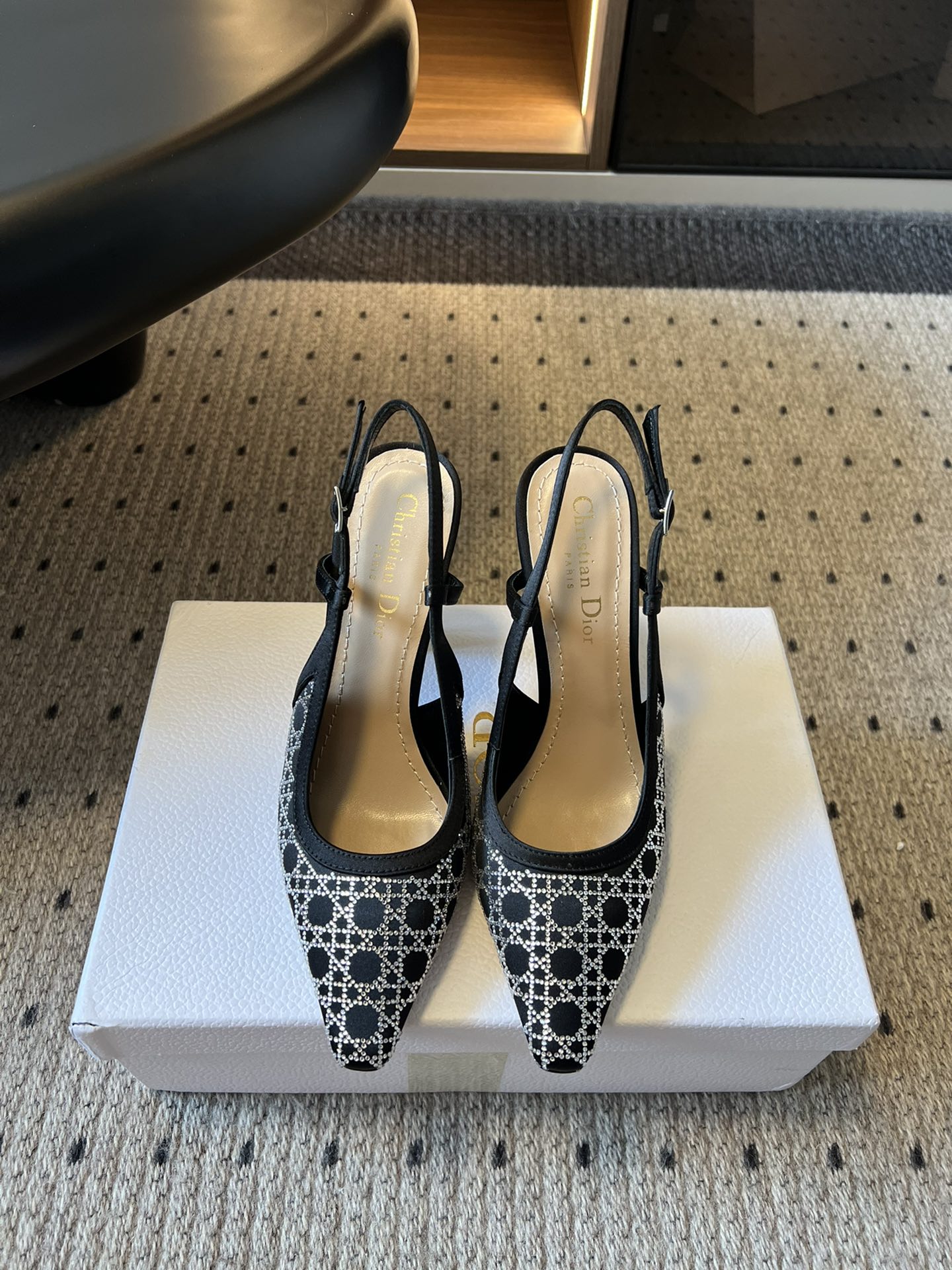 Dior Pointed-Toe High Heels - Top-Tier Version