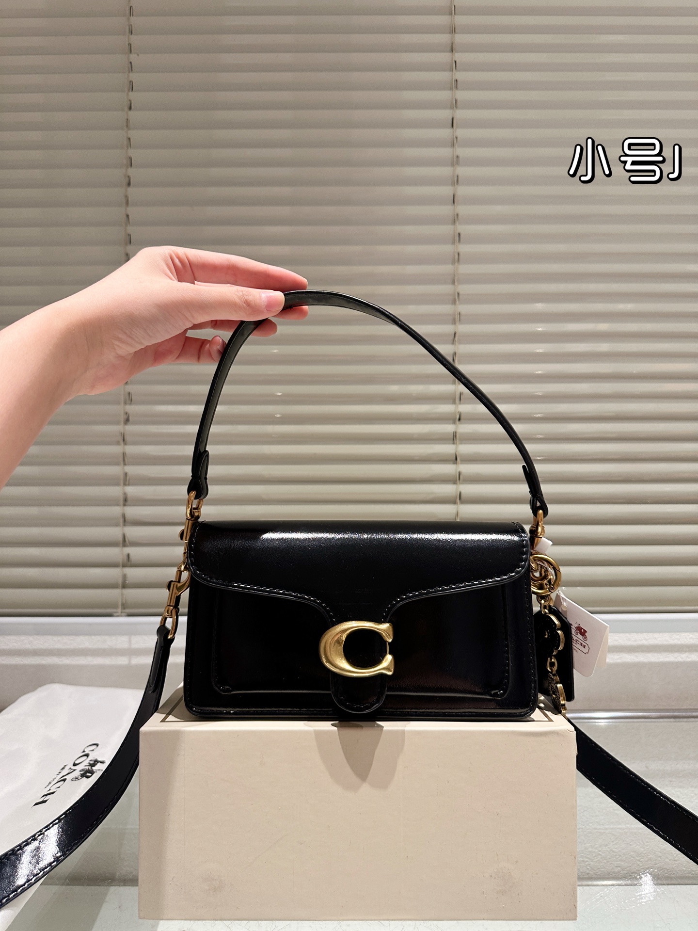 Coach Dionysus Tabby bag