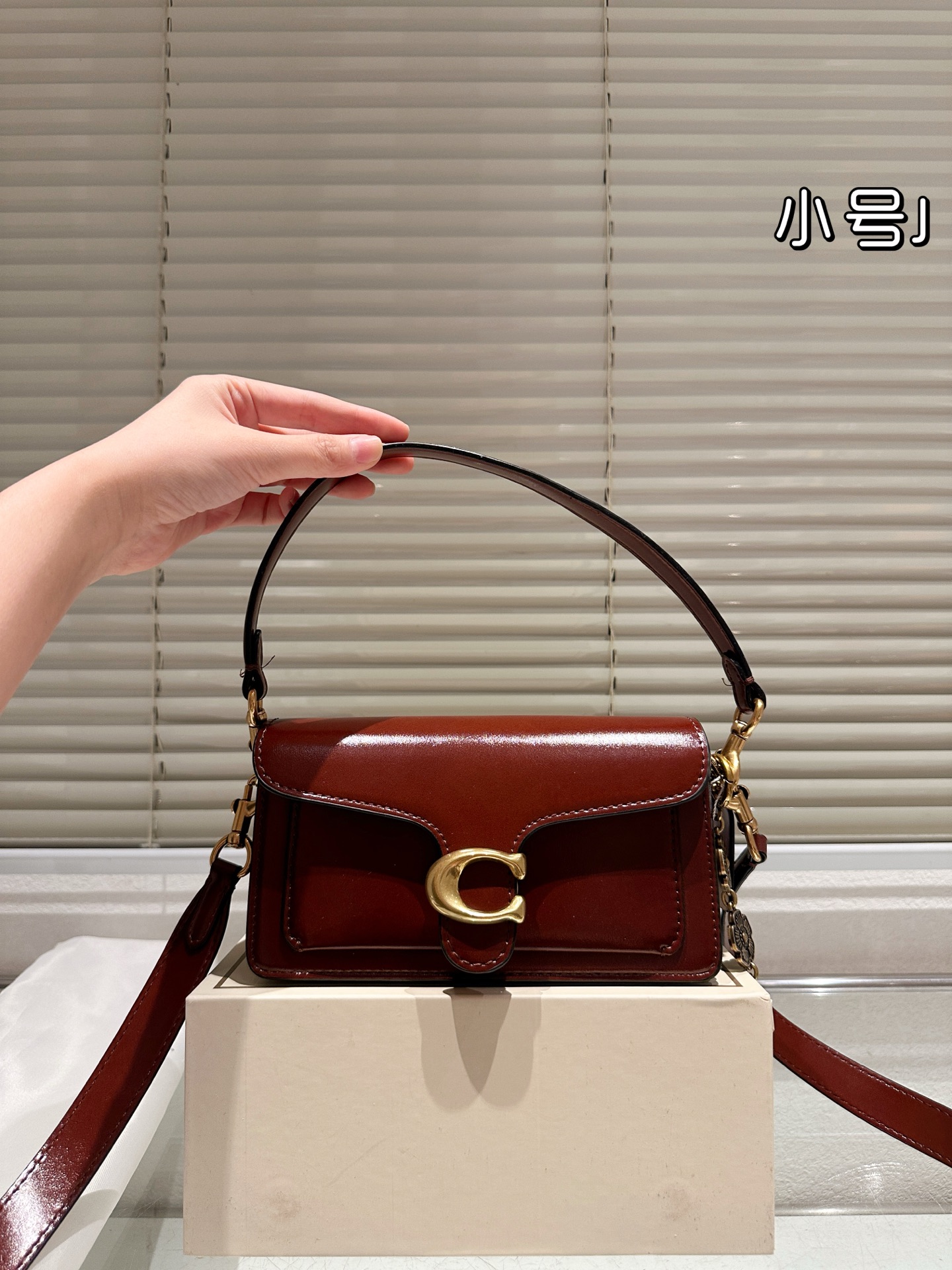 Coach Dionysus Tabby bag