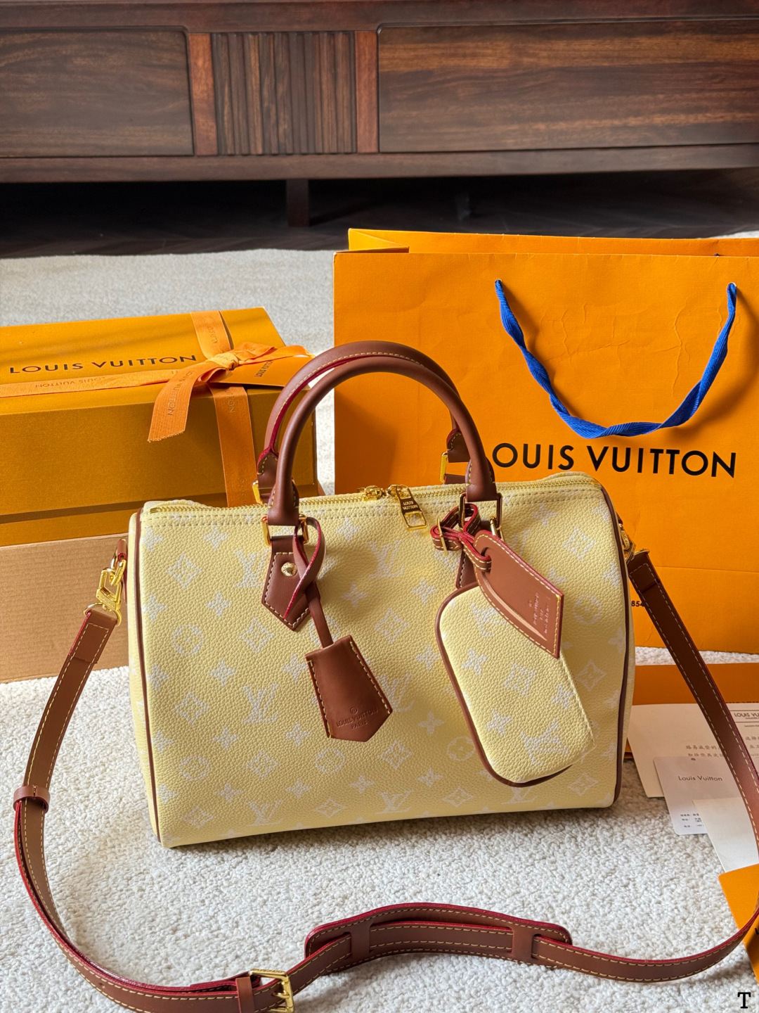 LV Speedy P9 FW 25 Handbag