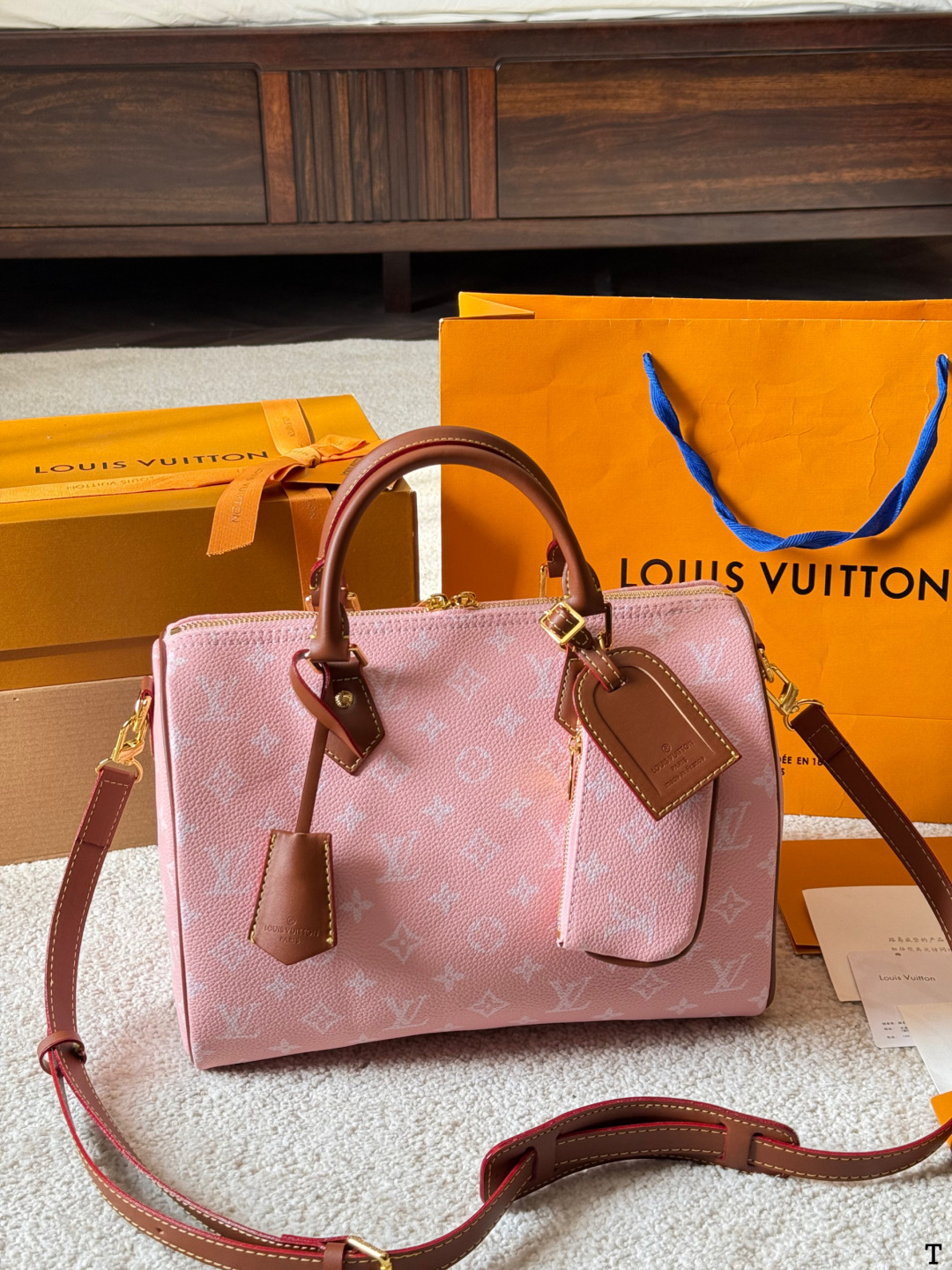 LV Speedy P9 FW 25 Handbag