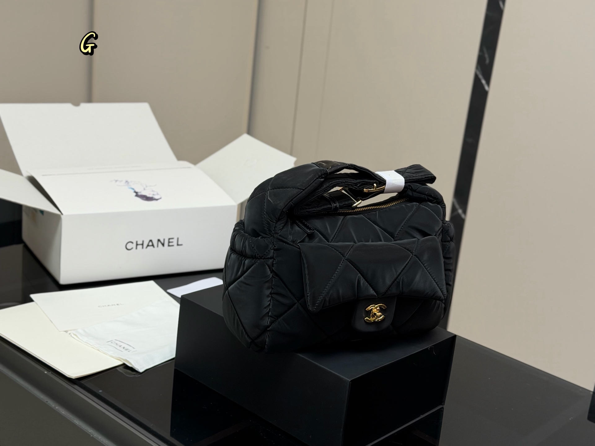 Chanel Coco Neige hobo bag