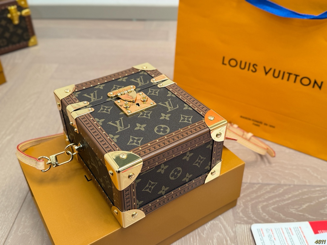 LV the Camera Box Handbag