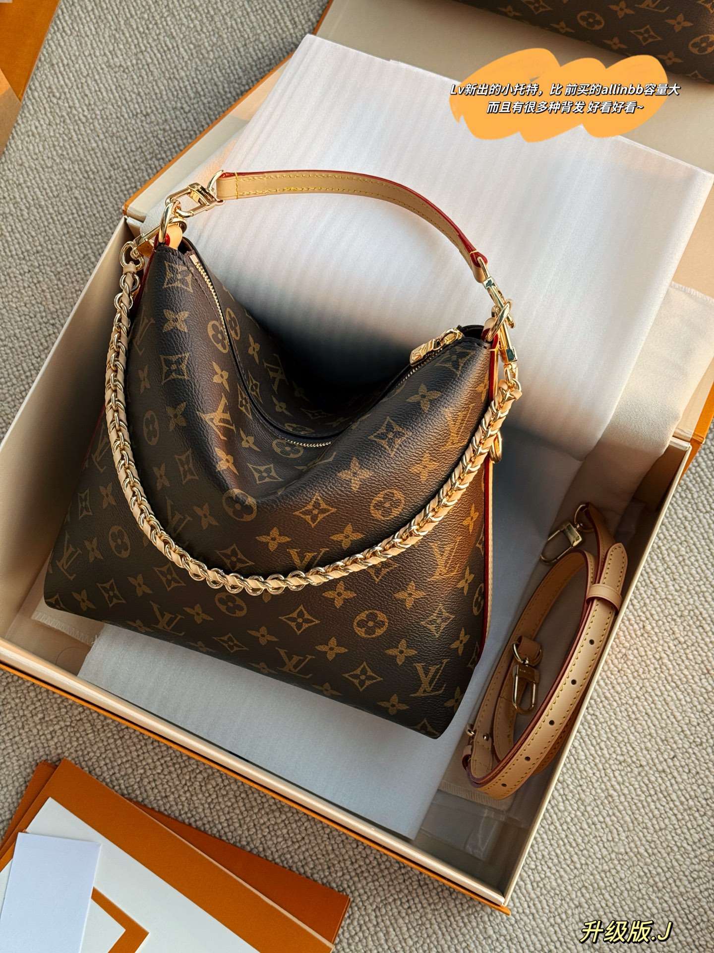 LV Multipass Shoulder Bag