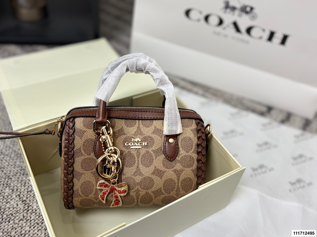 Coach Mini Pillow Bag