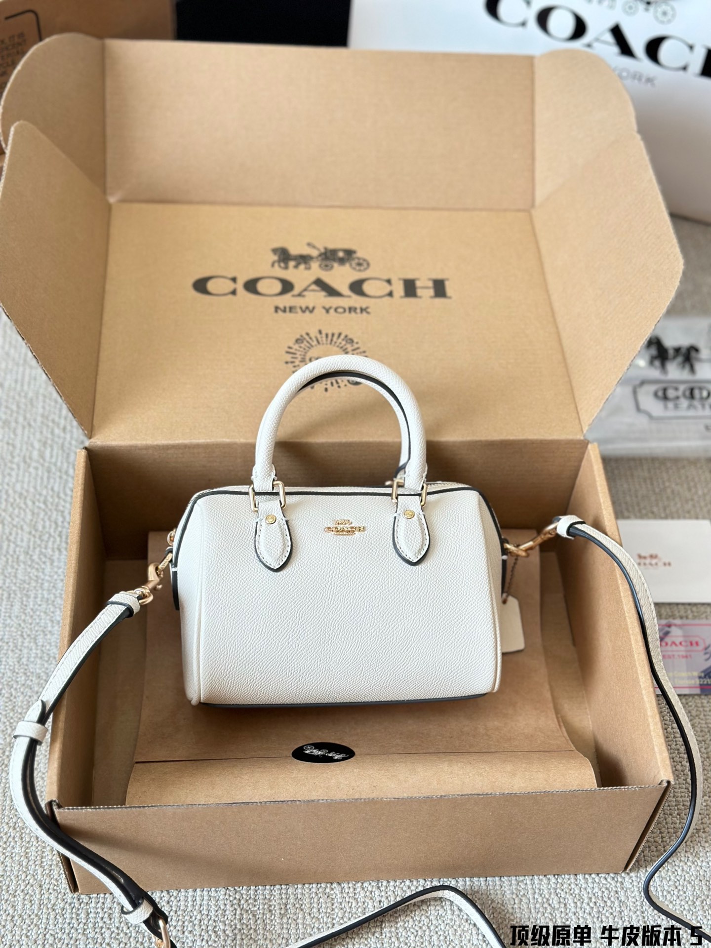 Coach mini Rowan pillow bag