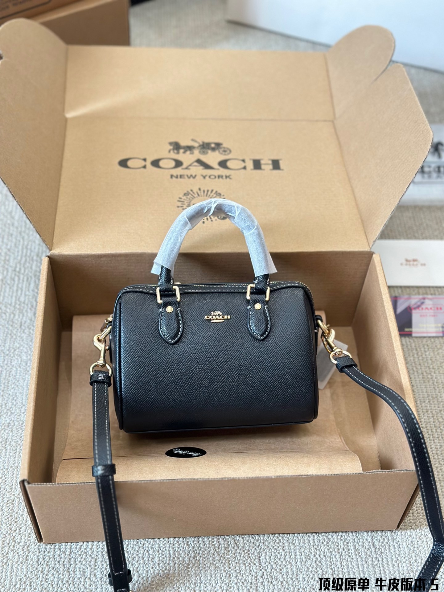 Coach mini Rowan pillow bag