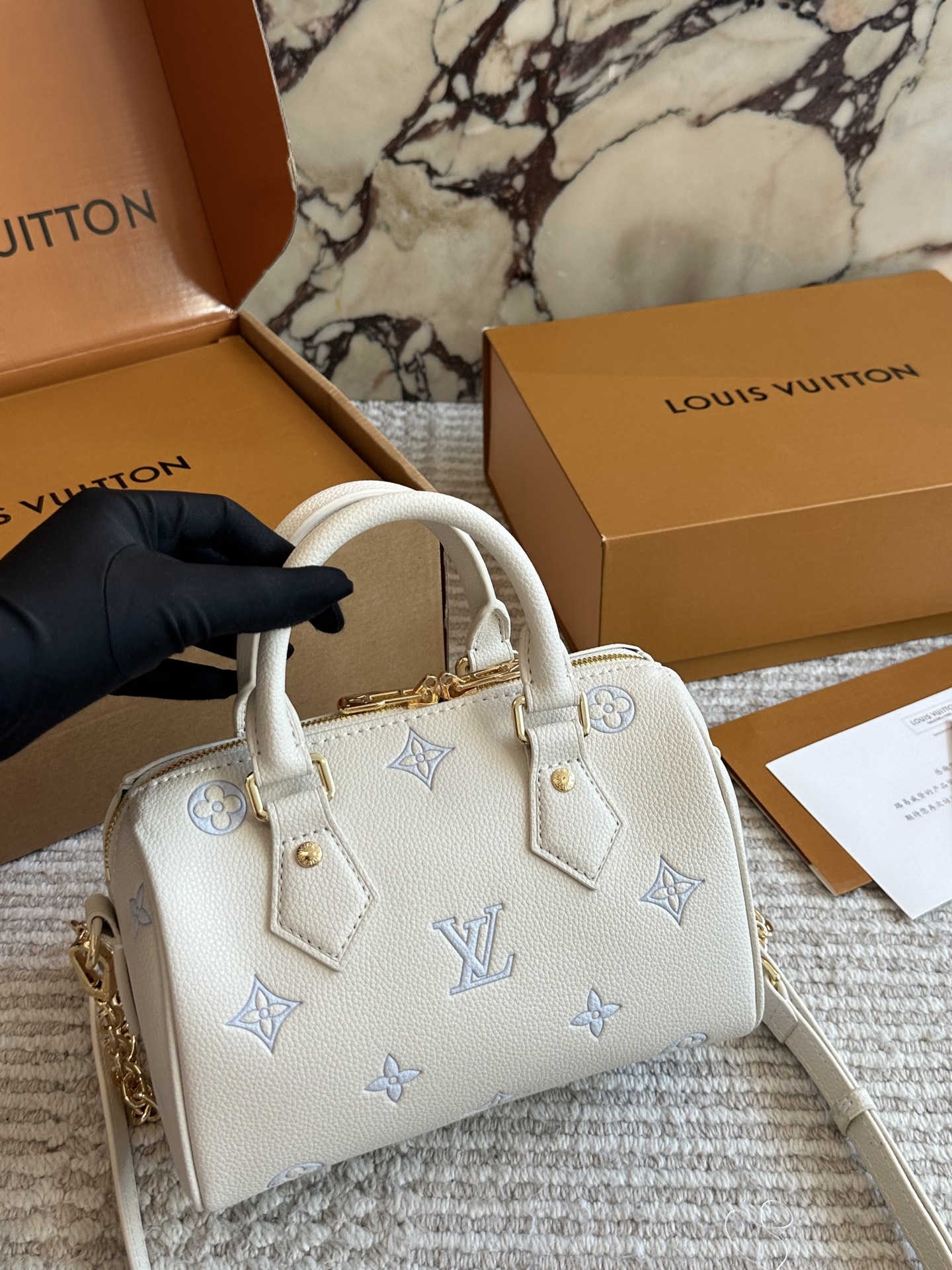 LV Speedy 20 Handbag