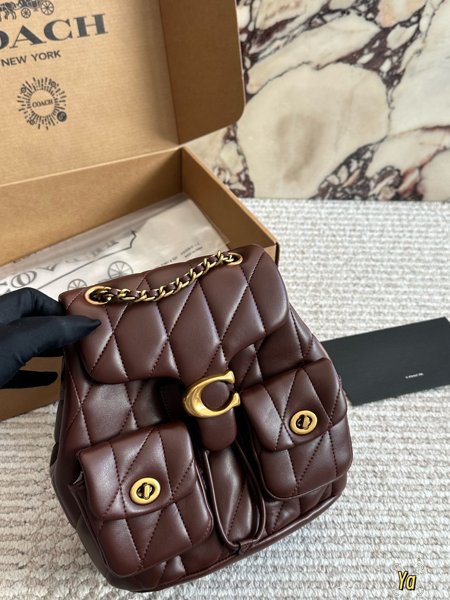 Coach minimalist and stylish backpack